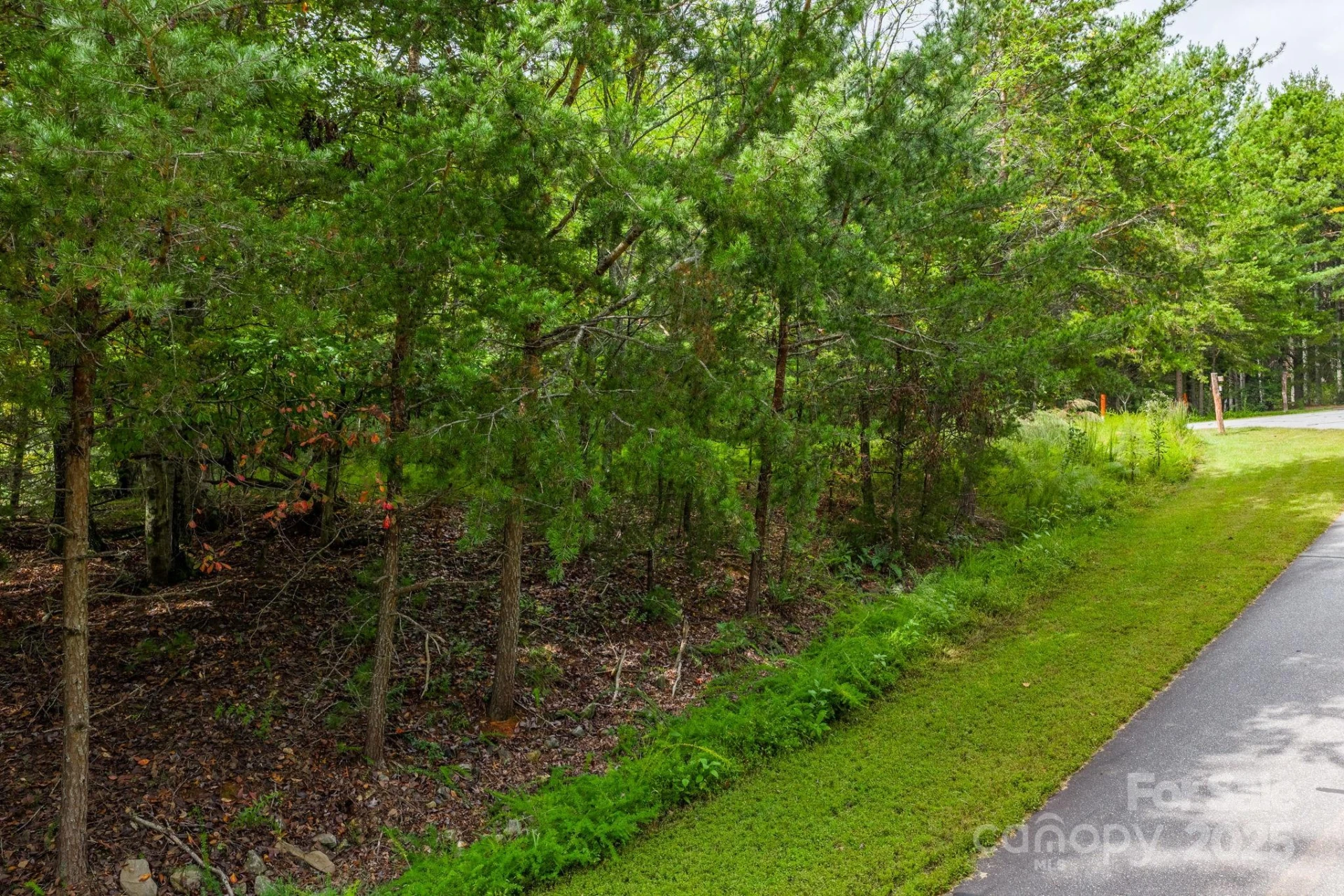 913 Bear Cliff Drive #24 - Photo 15