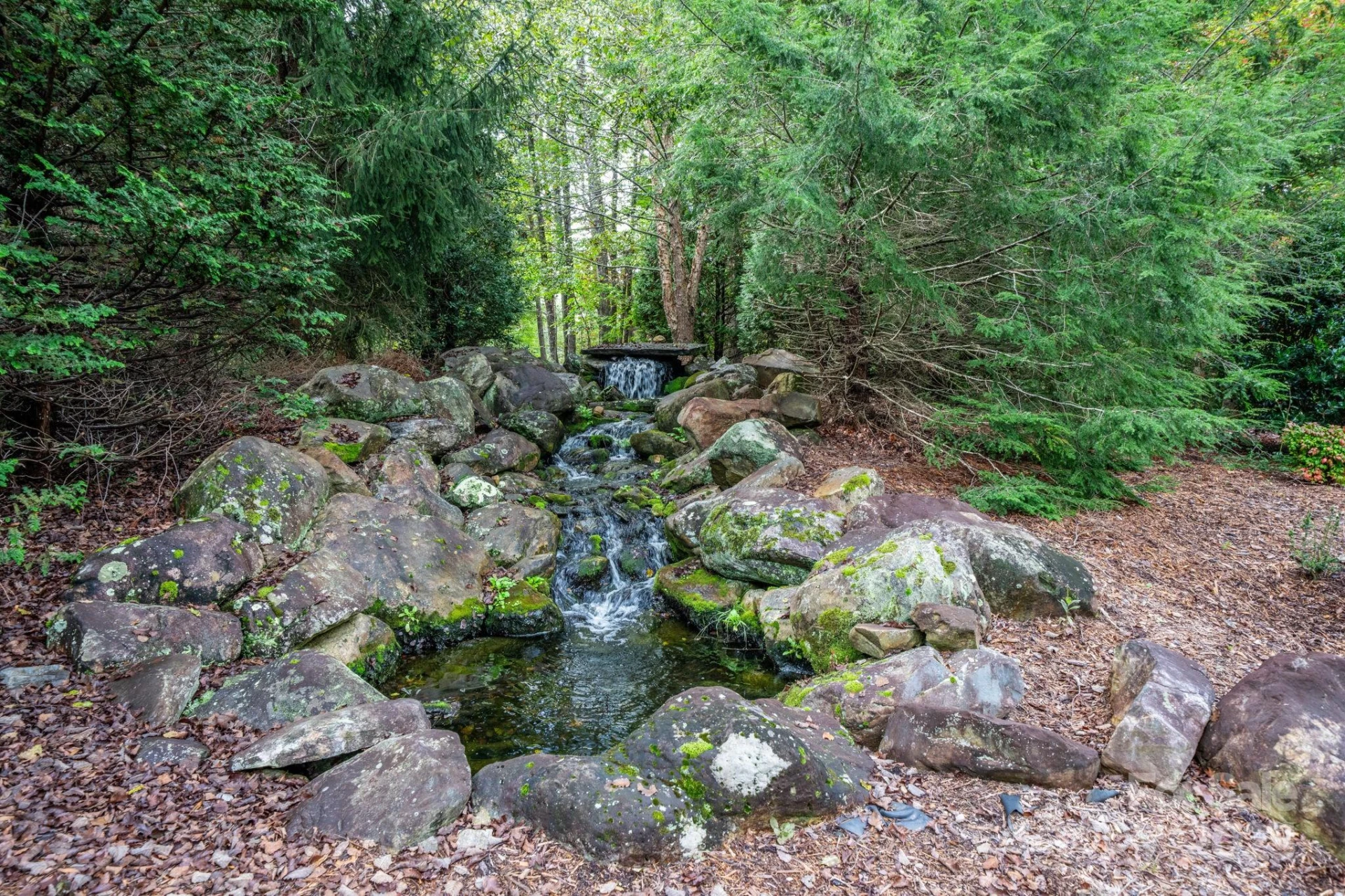 913 Bear Cliff Drive #24 - Photo 35