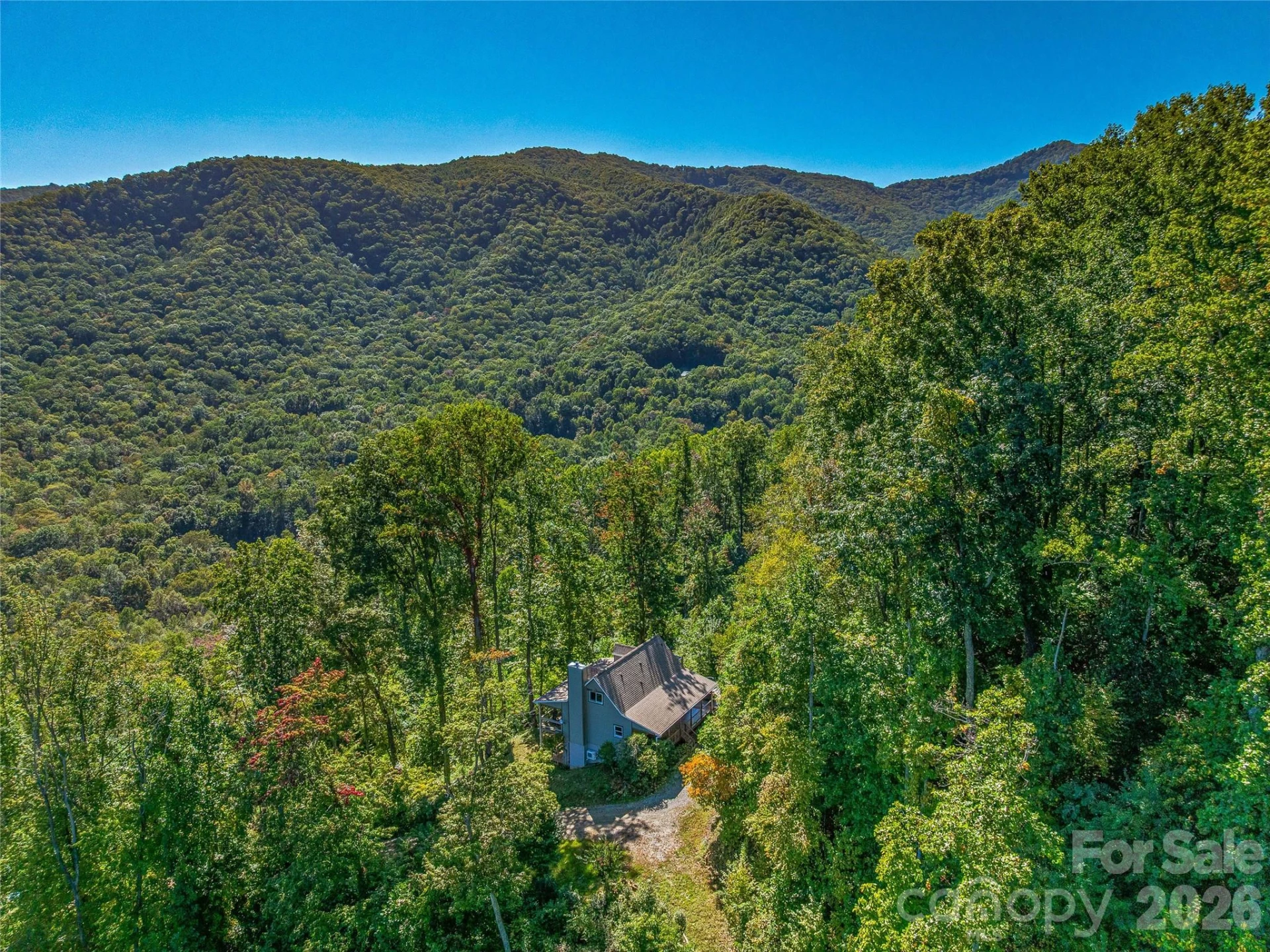 382 Black Oak Cove Road - Photo 3