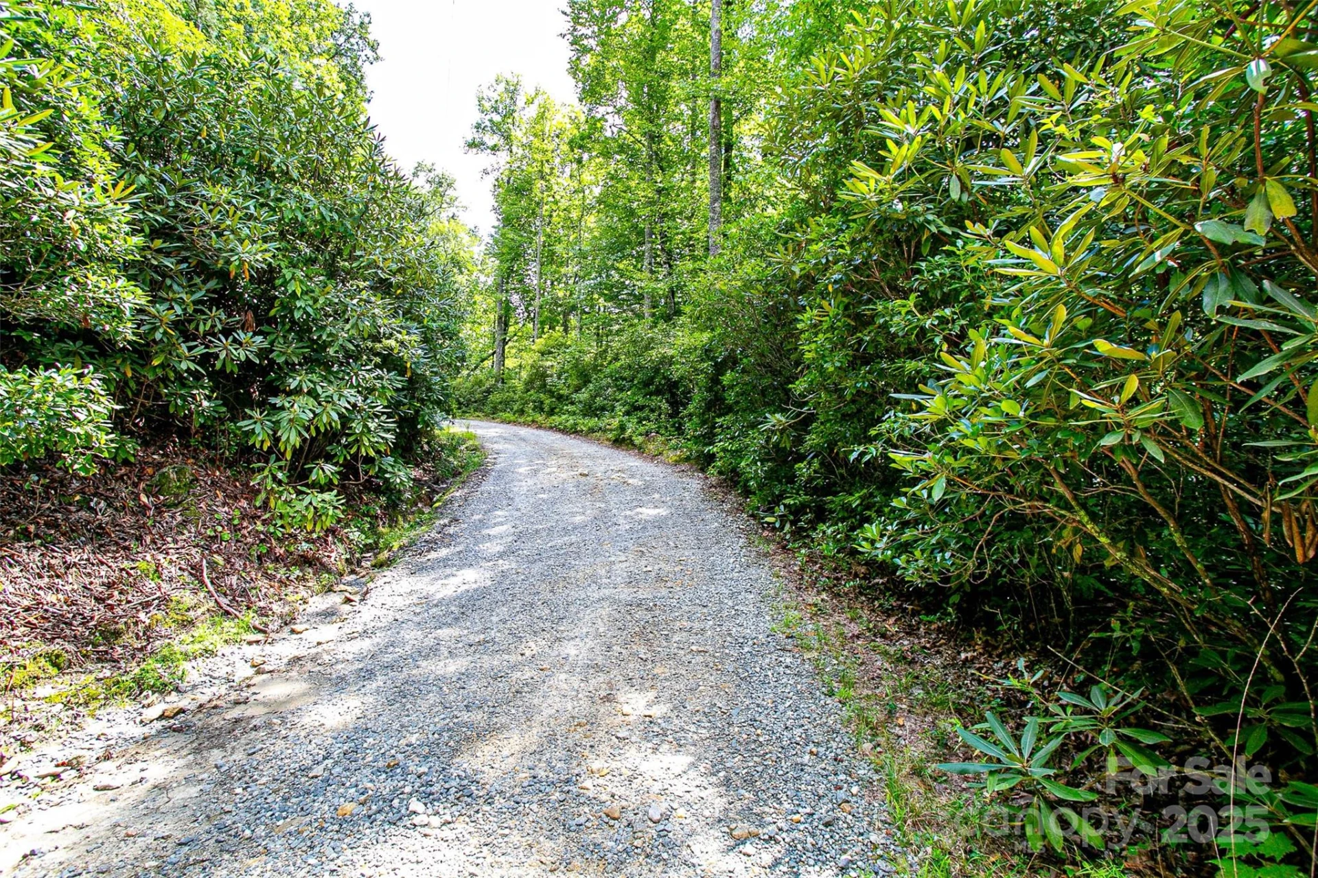 0000 Happy Acres Road - Photo 11