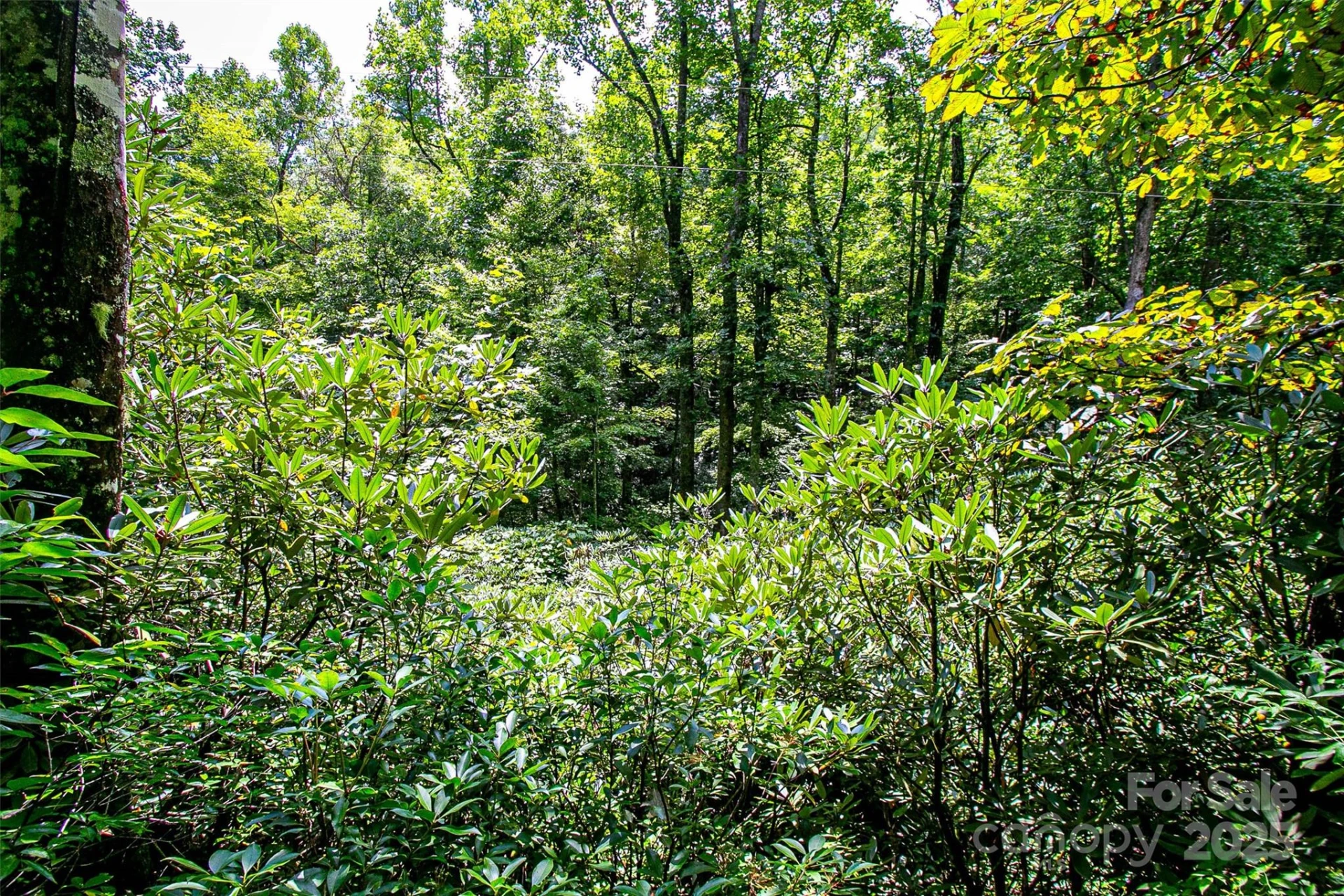 0000 Happy Acres Road - Photo 6