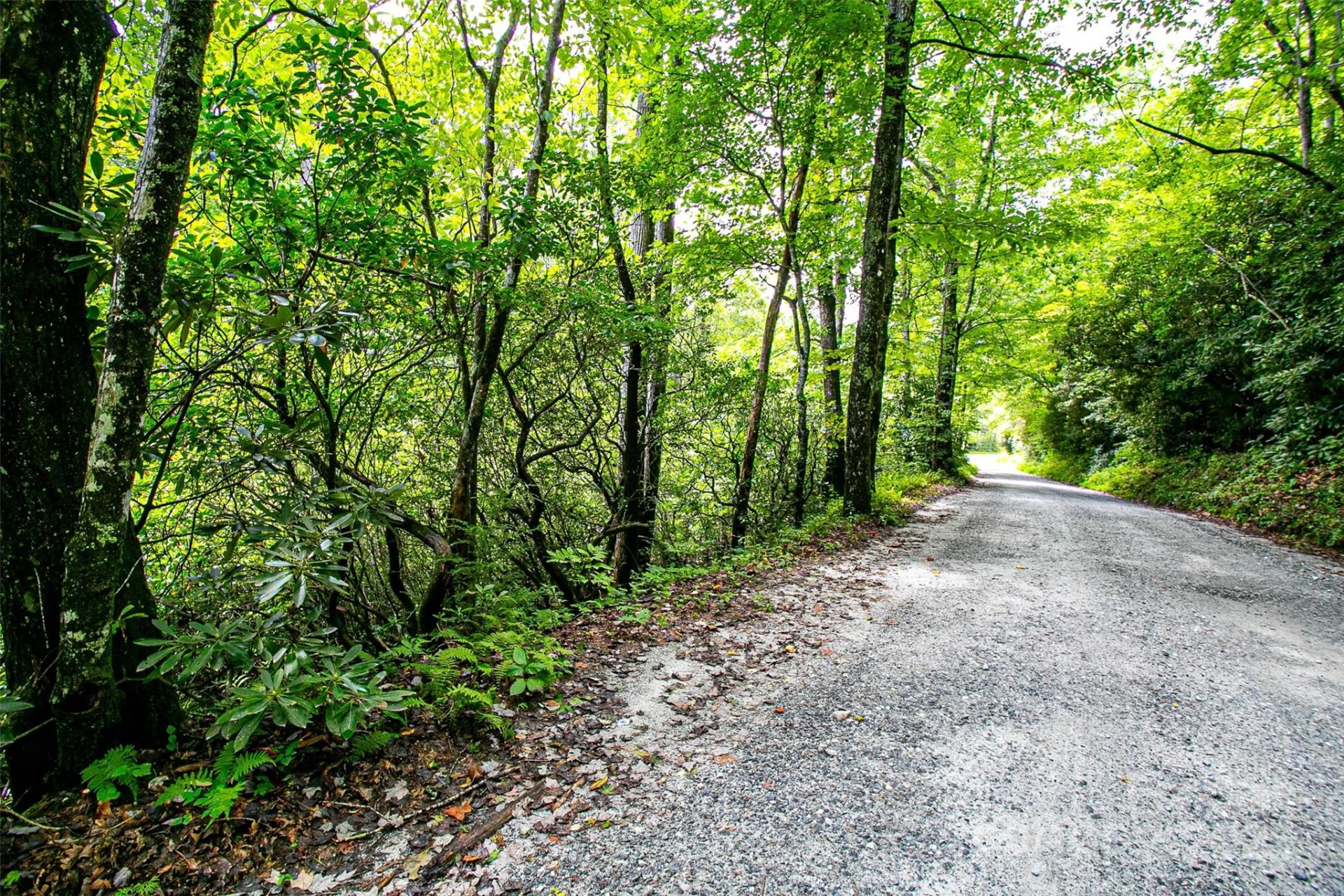 0000 Happy Acres Road - Photo 7