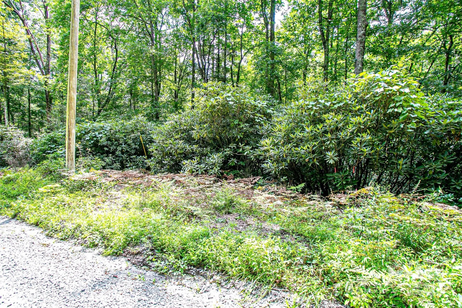 0000 Happy Acres Road - Photo 9