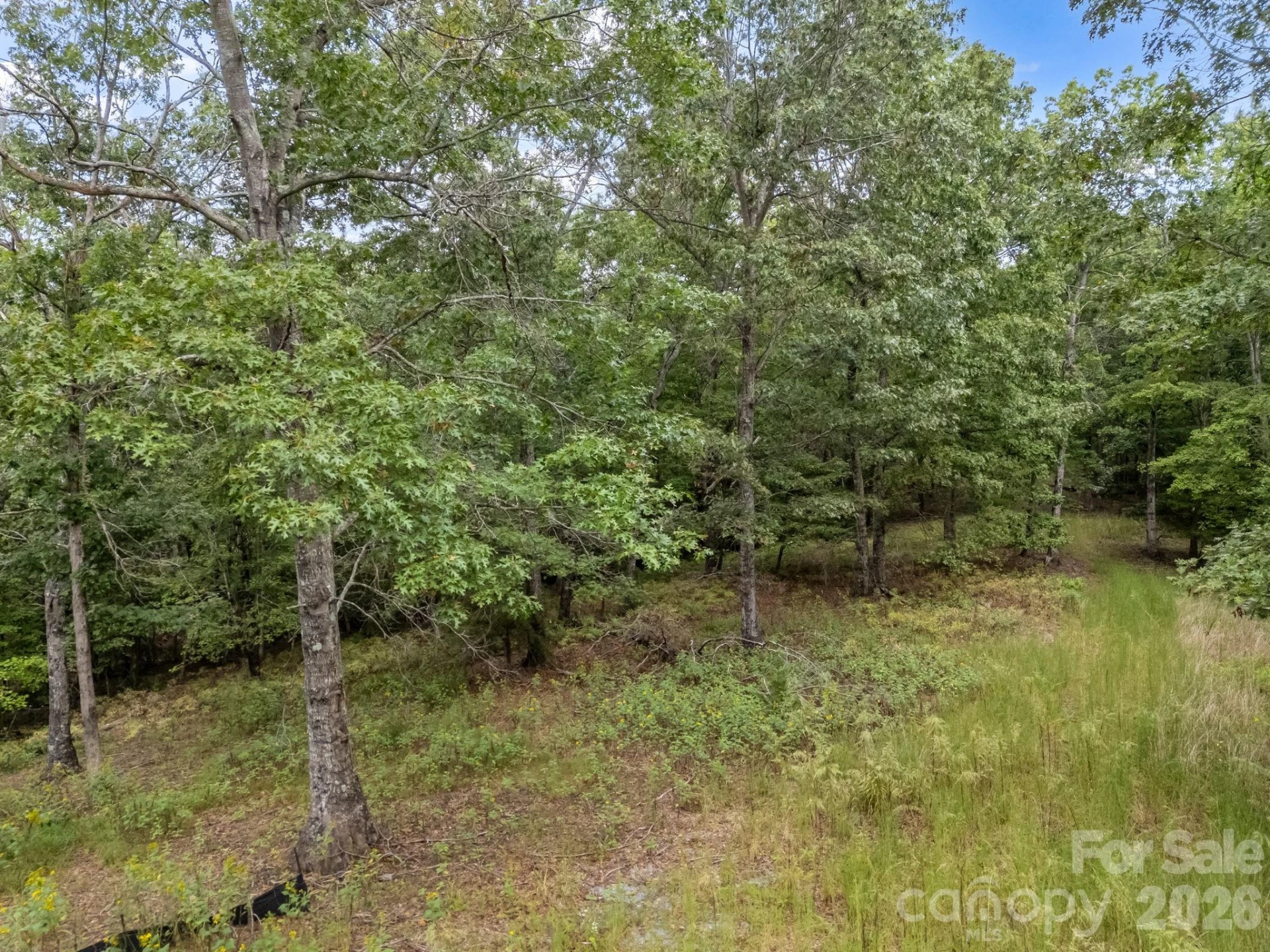 TBD N Highland Farms Road #6 - Photo 16