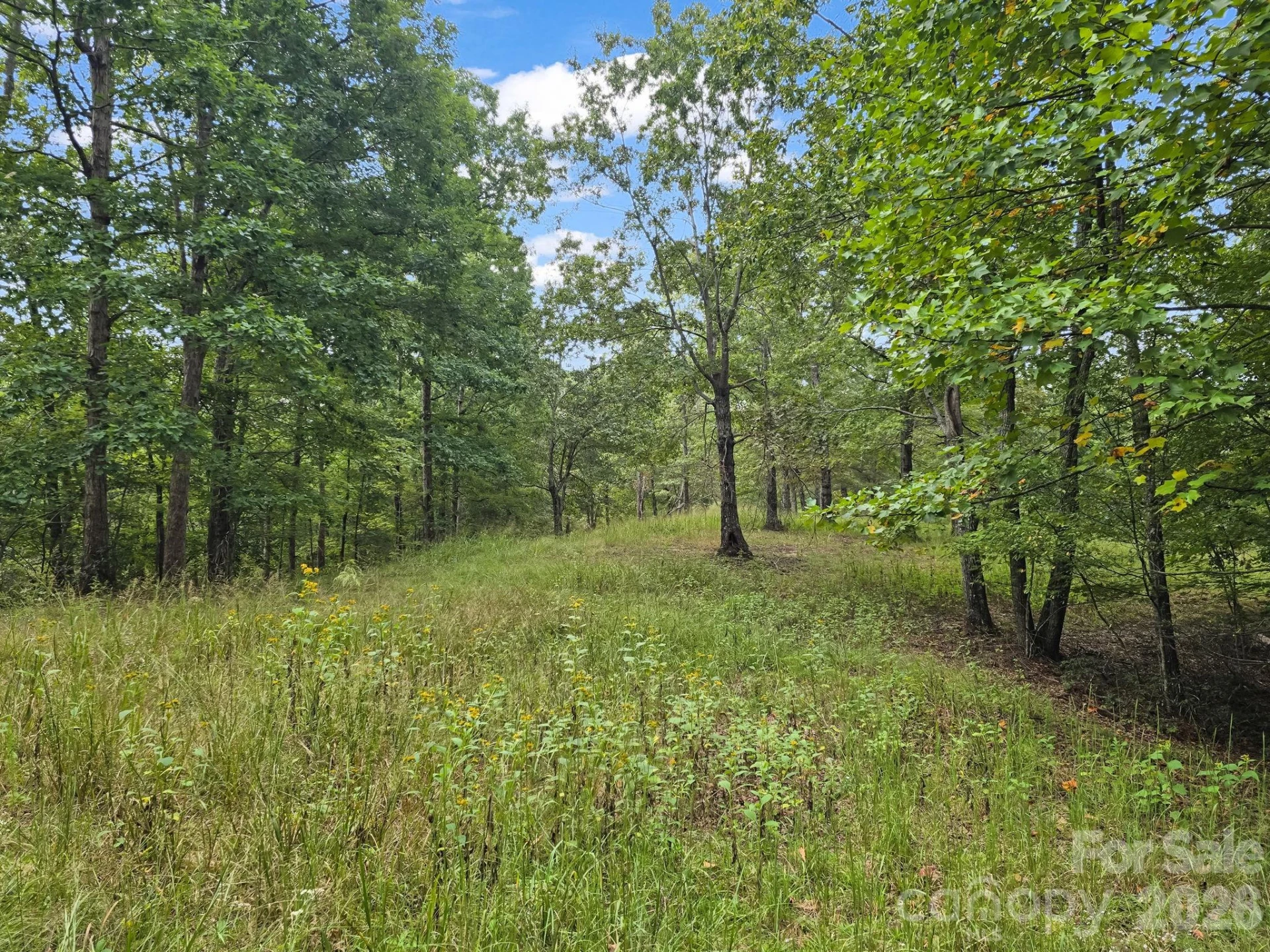 TBD N Highland Farms Road #6 - Photo 18