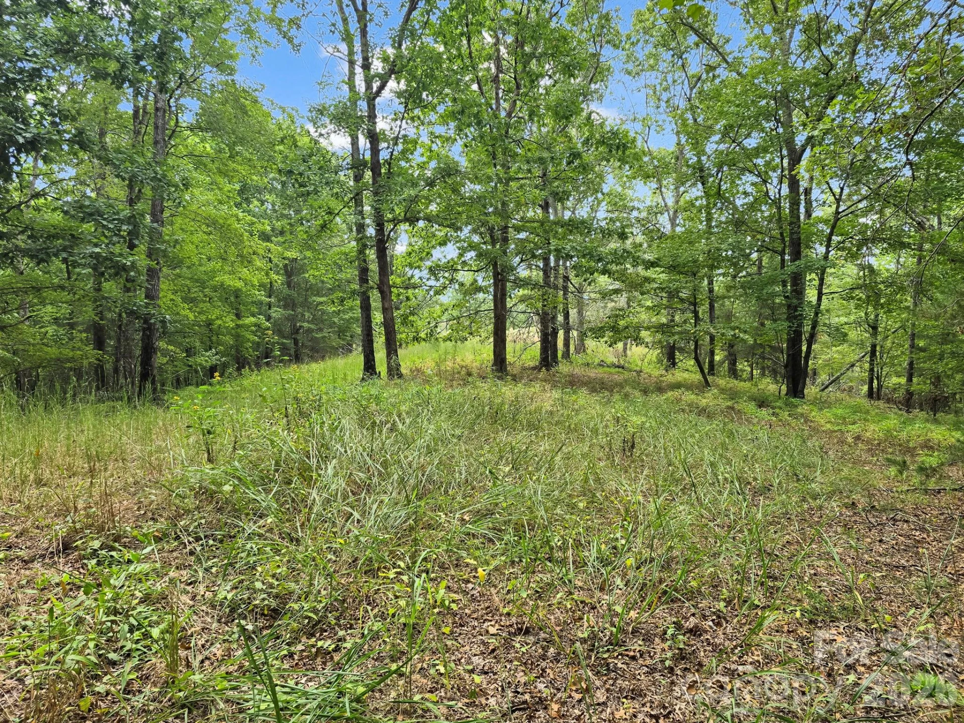 TBD N Highland Farms Road #6 - Photo 19
