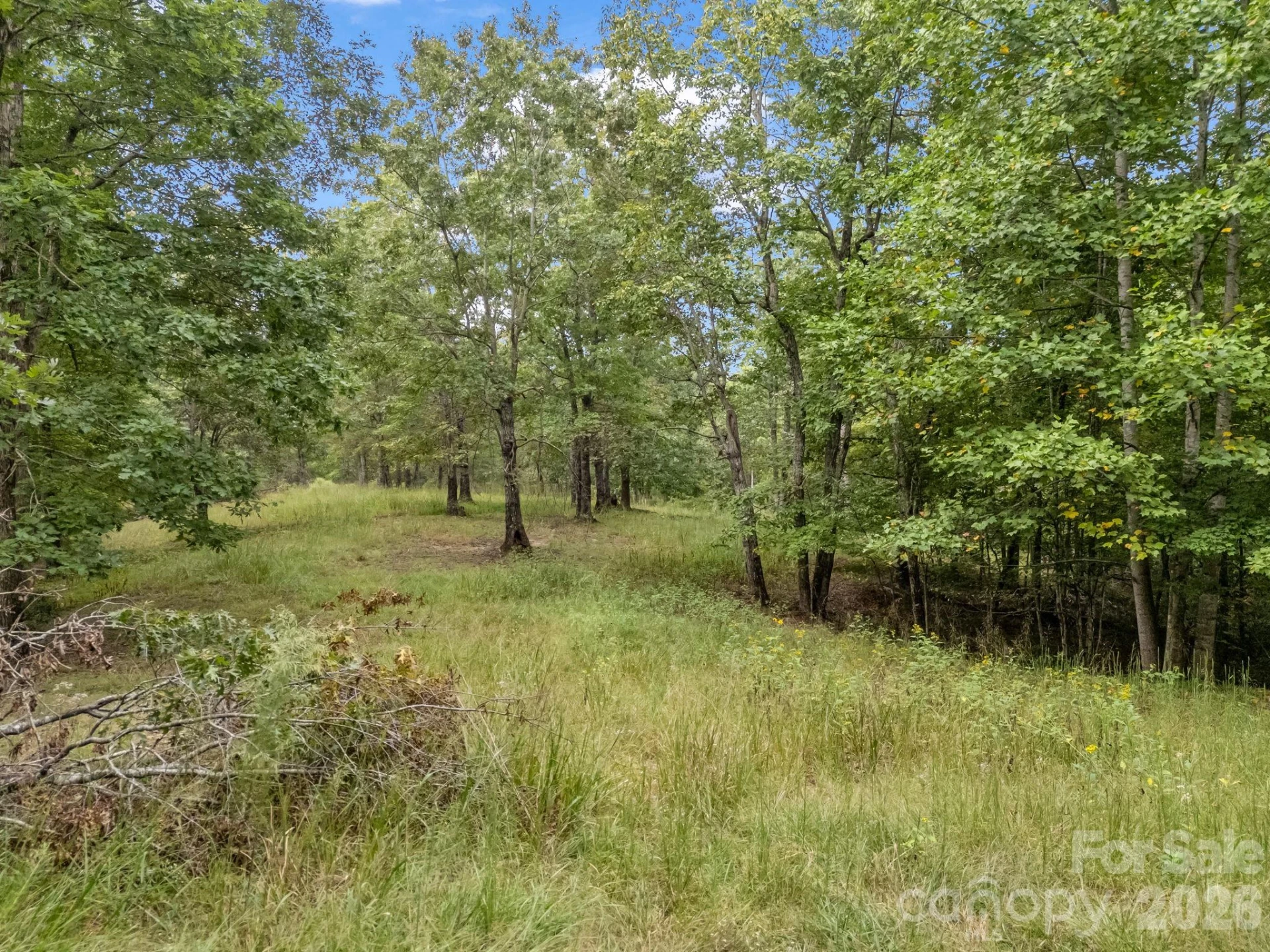 TBD N Highland Farms Road #6 - Photo 20