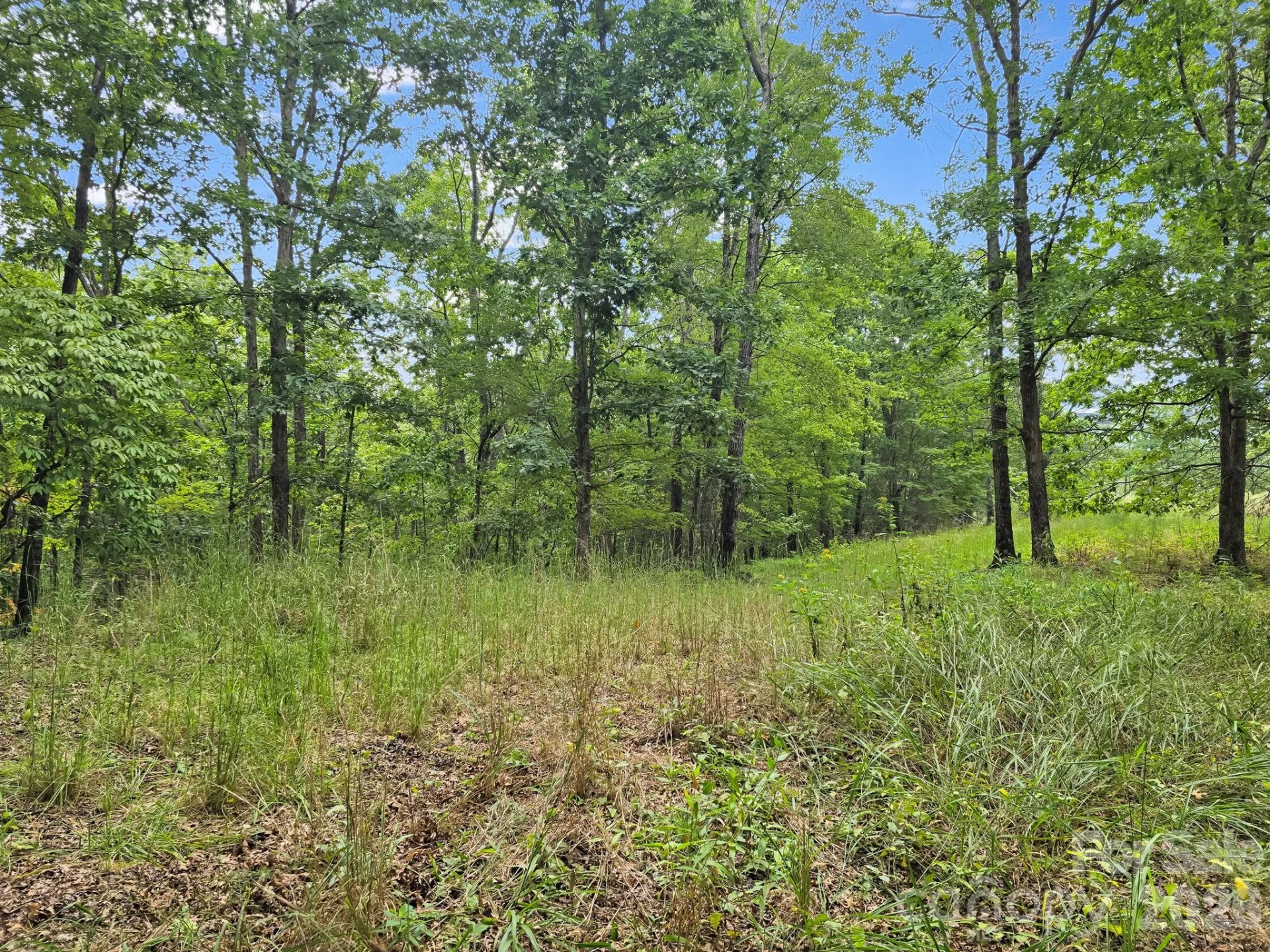 TBD N Highland Farms Road #6 - Photo 21