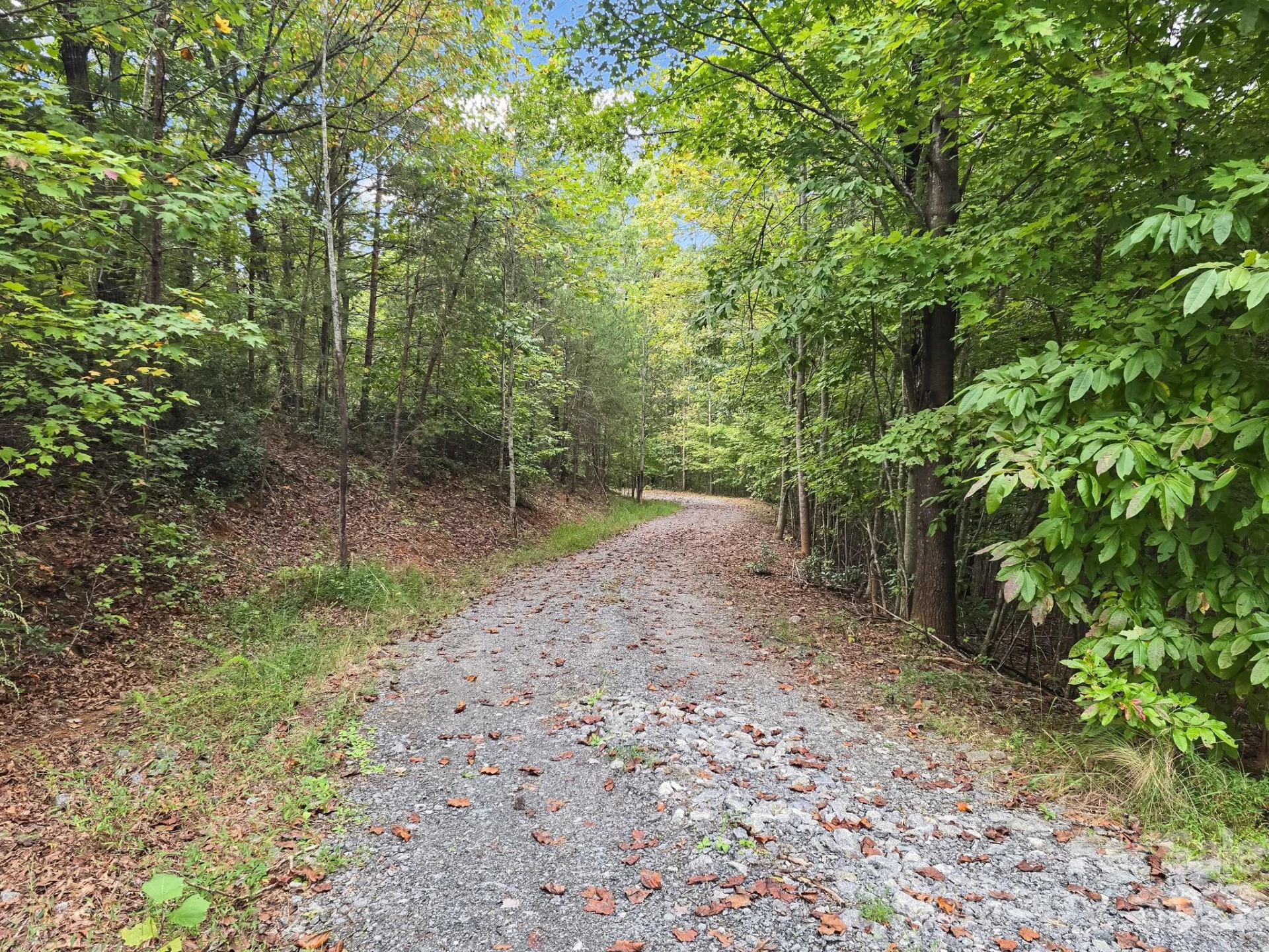 TBD N Highland Farms Road #6 - Photo 30