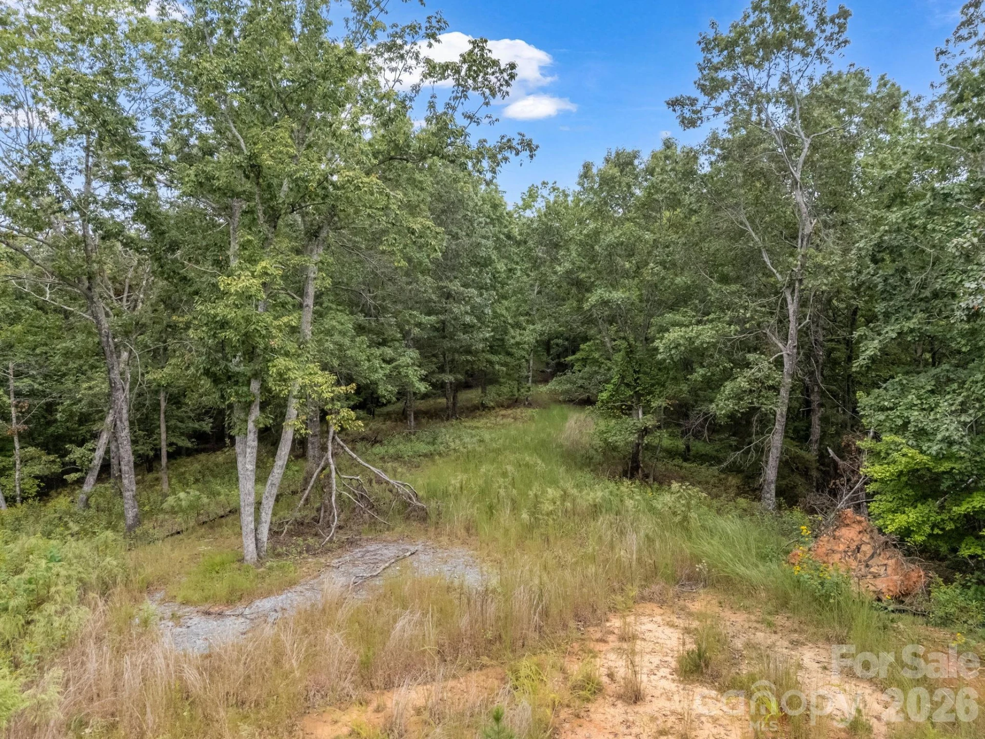 TBD N Highland Farms Road #6 - Photo 5