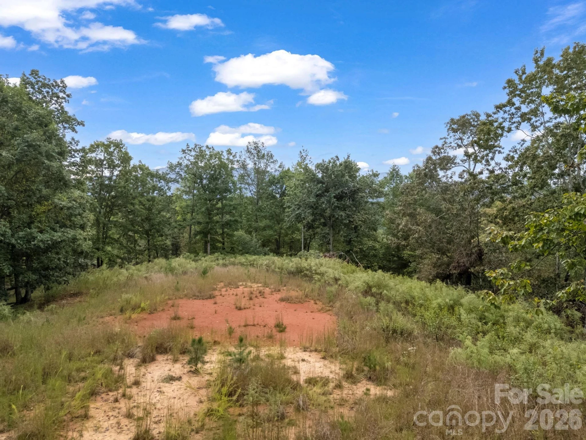 TBD N Highland Farms Road #6 - Photo 6