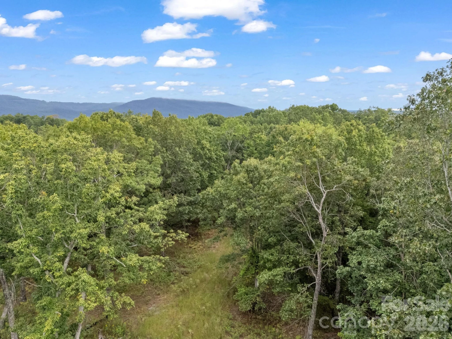 TBD N Highland Farms Road #6 - Photo 7