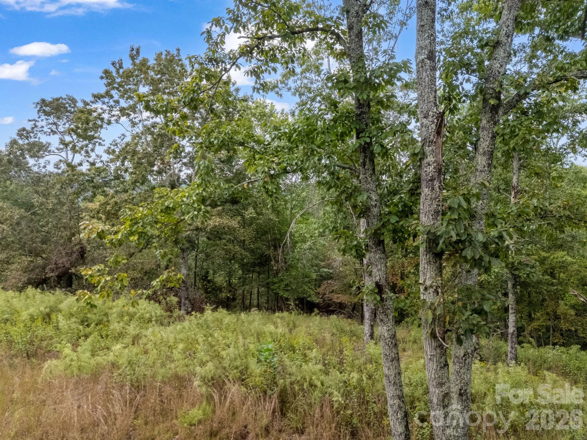 TBD N Highland Farms Road #6 - Photo 9