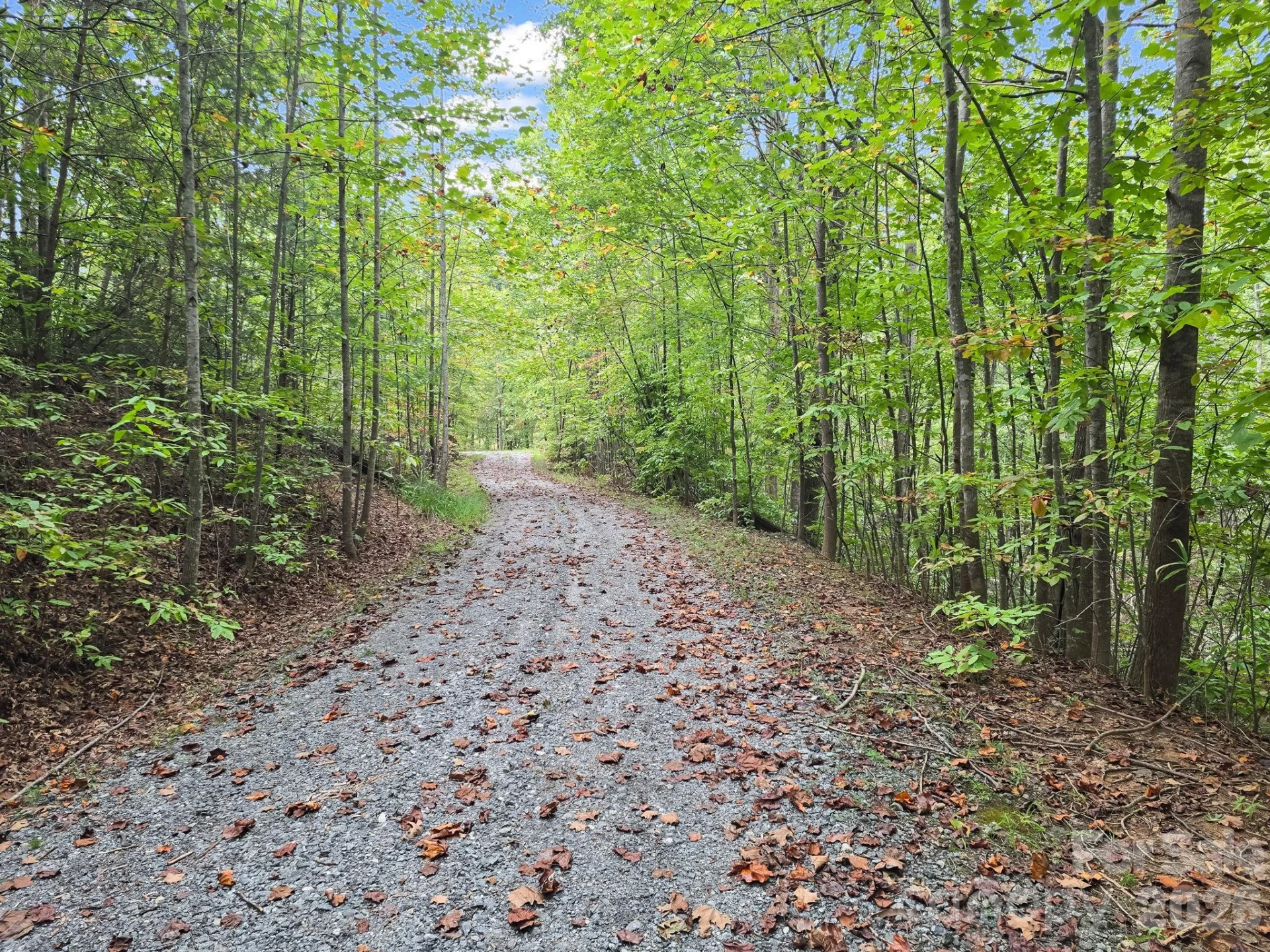 TBD N Highland Farms Road #6 - Photo 10