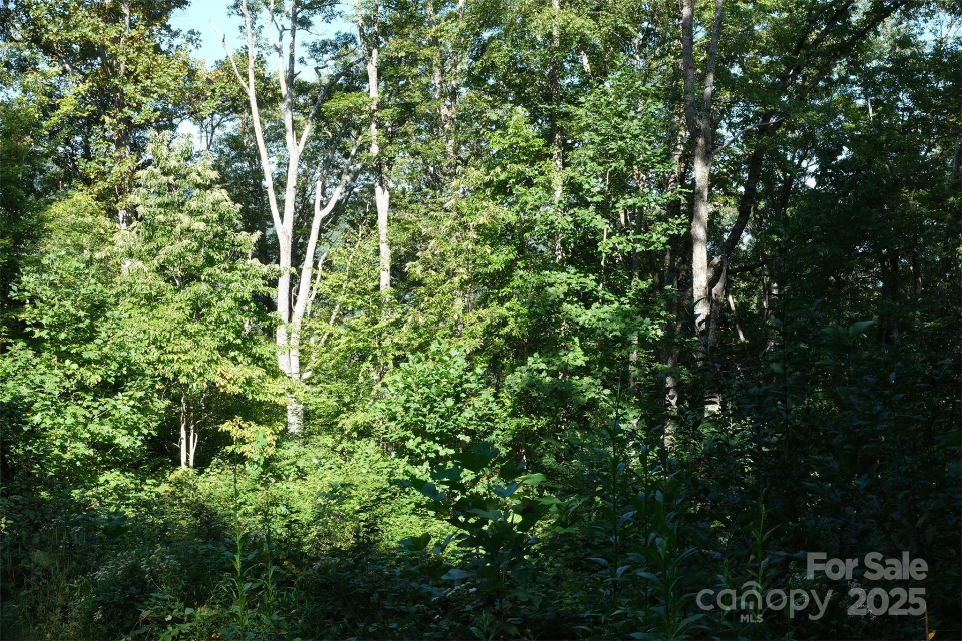 Lot: 12 CAPERTON POINT Road #12