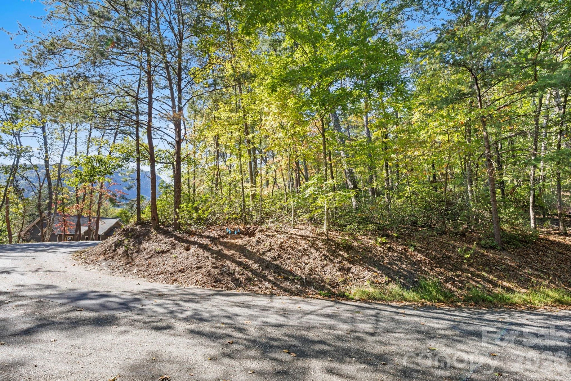 Lot 42 Palmer Place - Photo 2