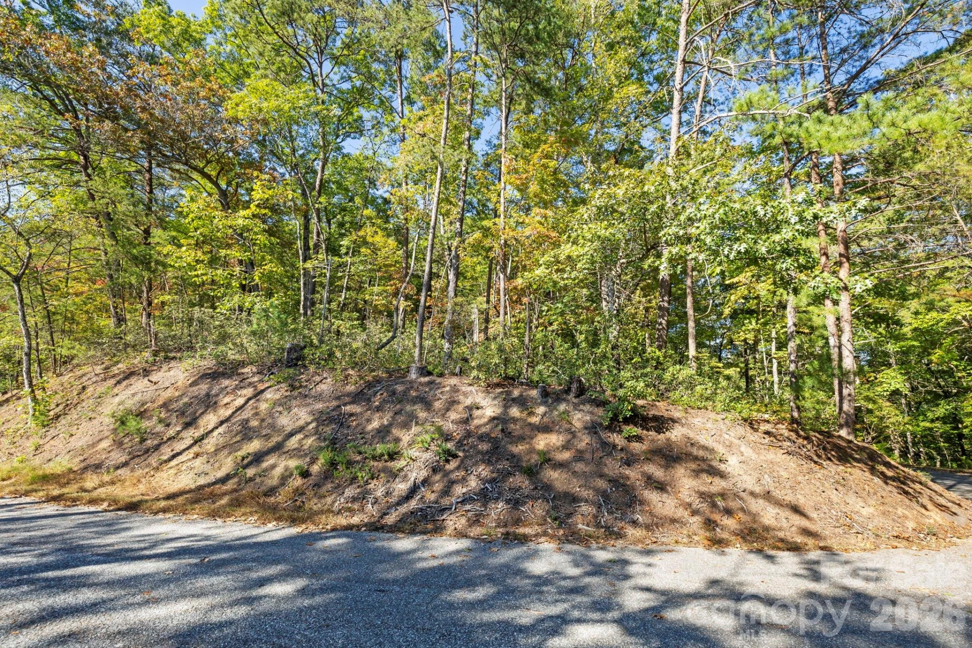 Lot 42 Palmer Place - Photo 4
