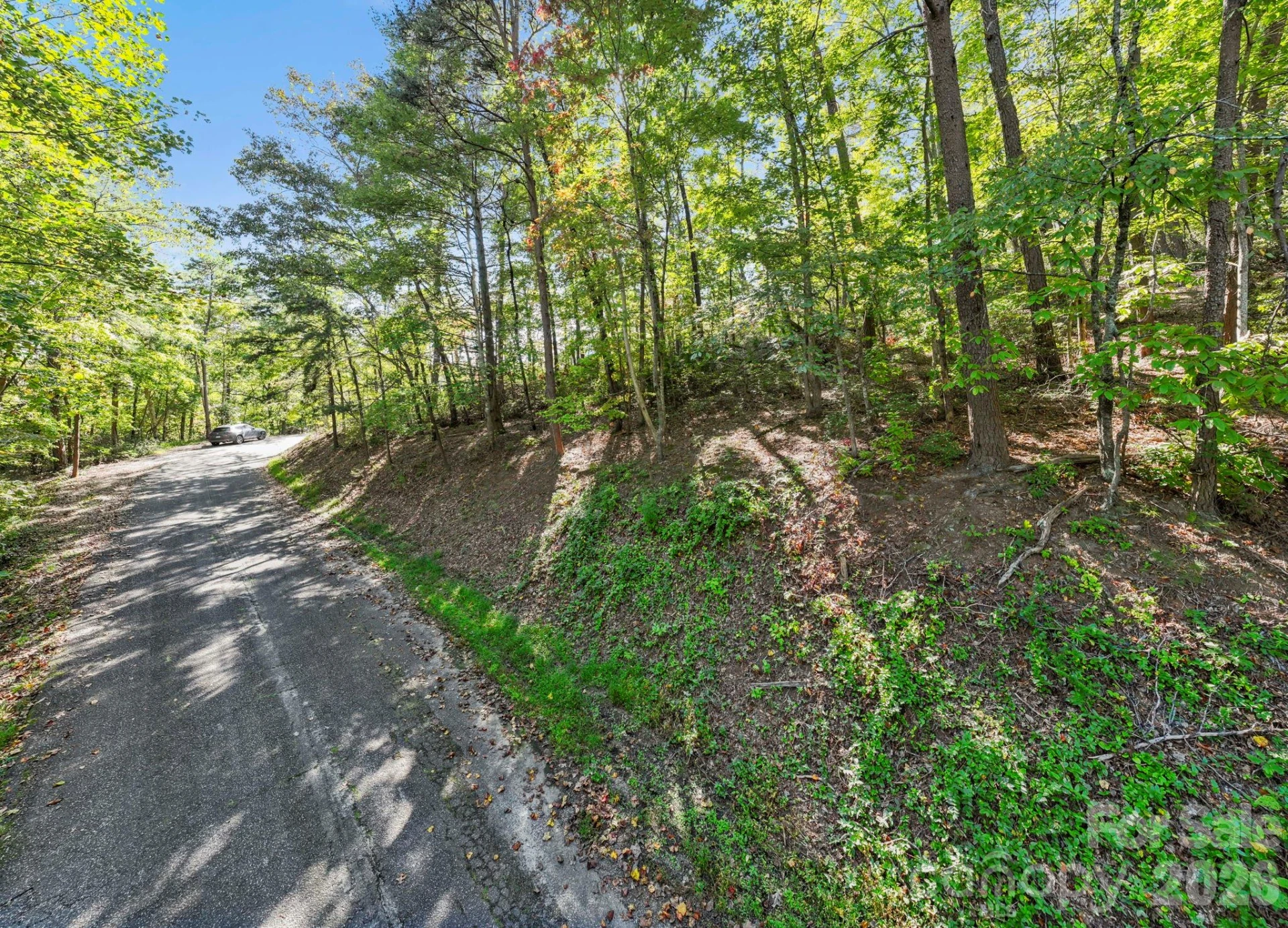 Lot 42 Palmer Place - Photo 5