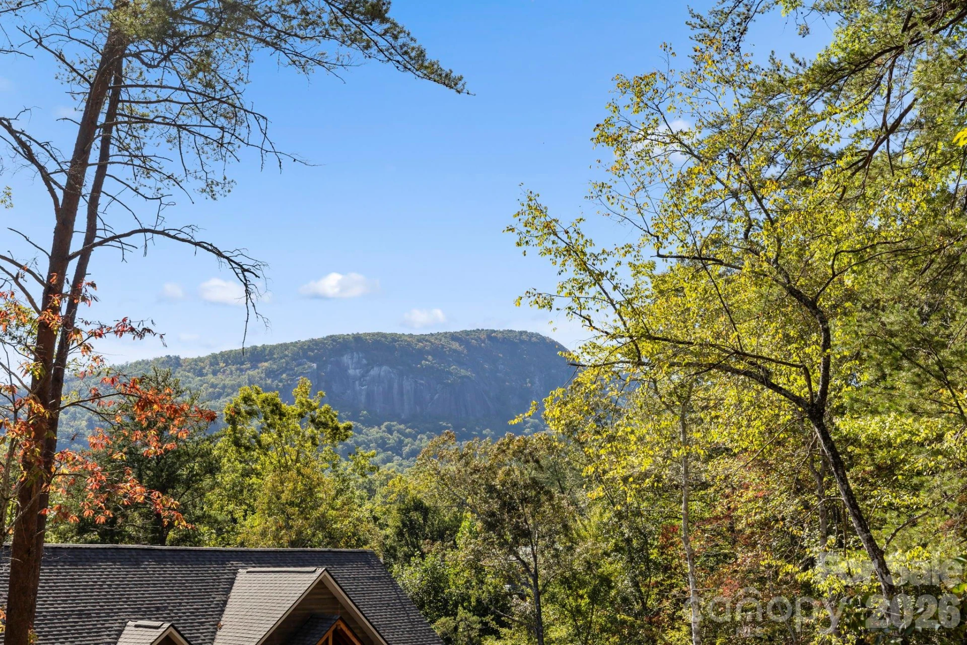 Lot 42 Palmer Place - Photo 10