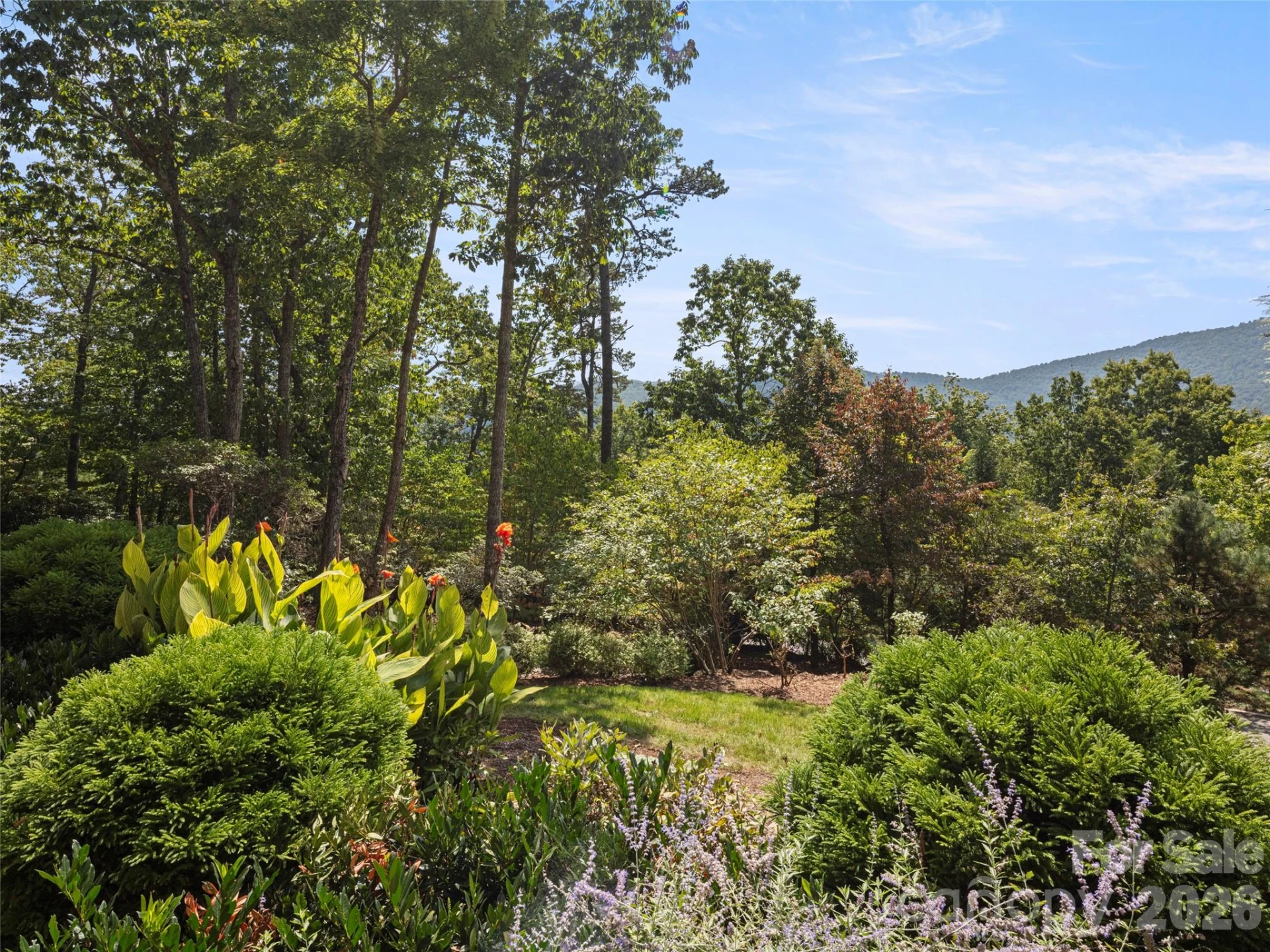 5 Rock Vista Way - Photo 45