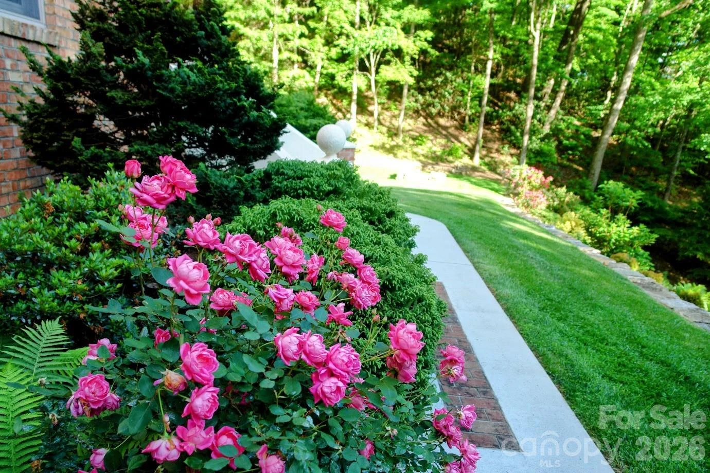295 Laurel Ridge Drive - Photo 48