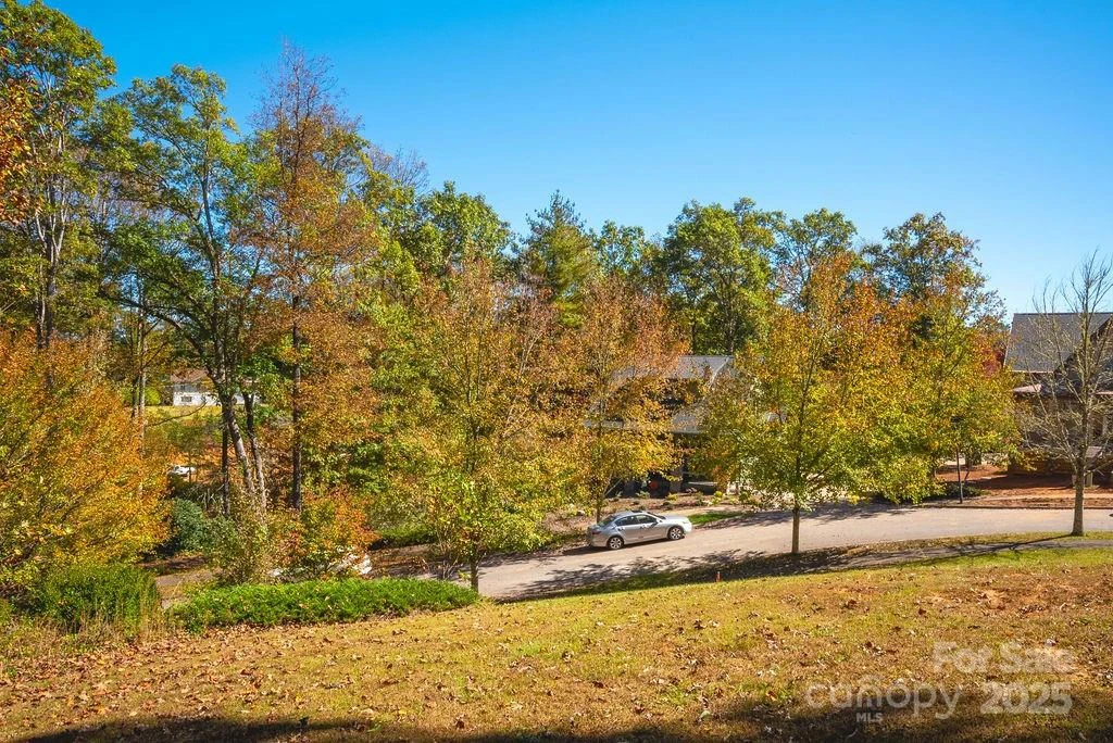lot 1 Cadence Circle - Photo 2