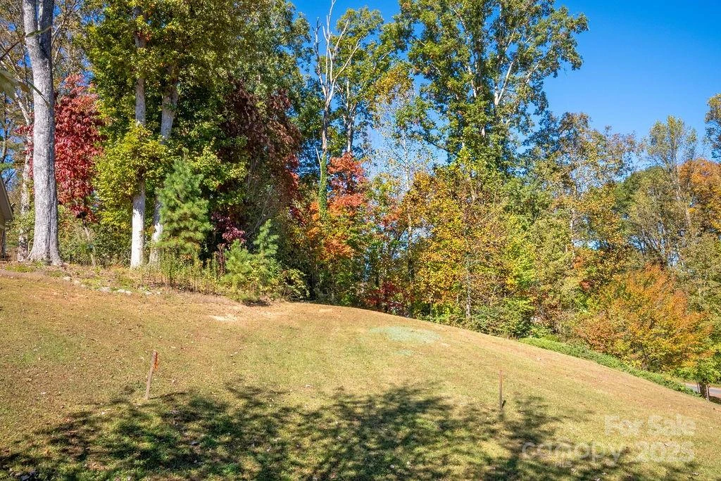lot 1 Cadence Circle - Photo 8