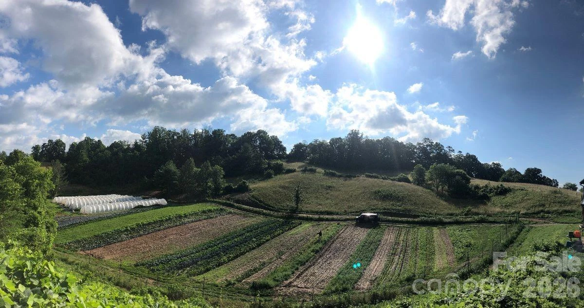 202 Westridge Farm Road - Photo 33