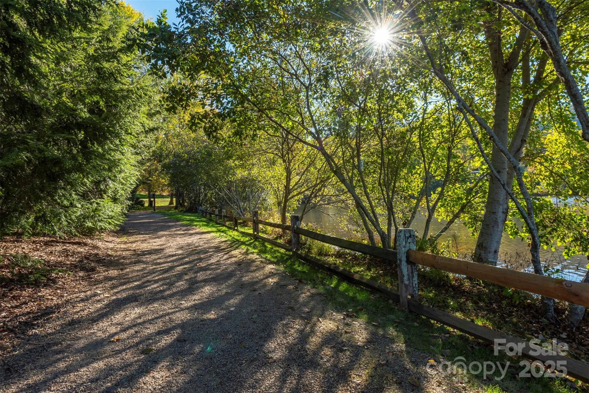 4 Yellow Owl Court - Photo 44