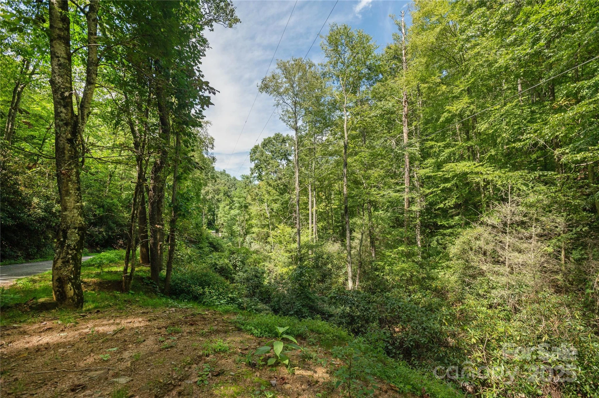 99999 Christian Creek Road - Photo 2