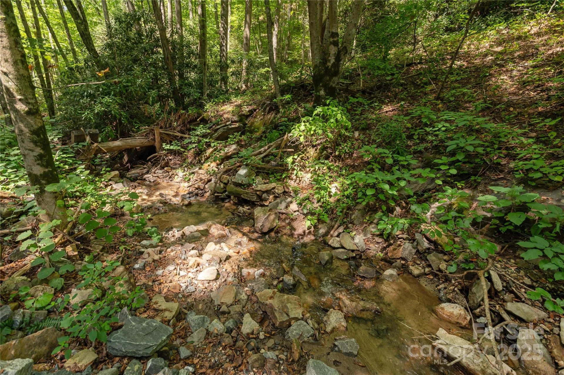 99999 Christian Creek Road - Photo 4