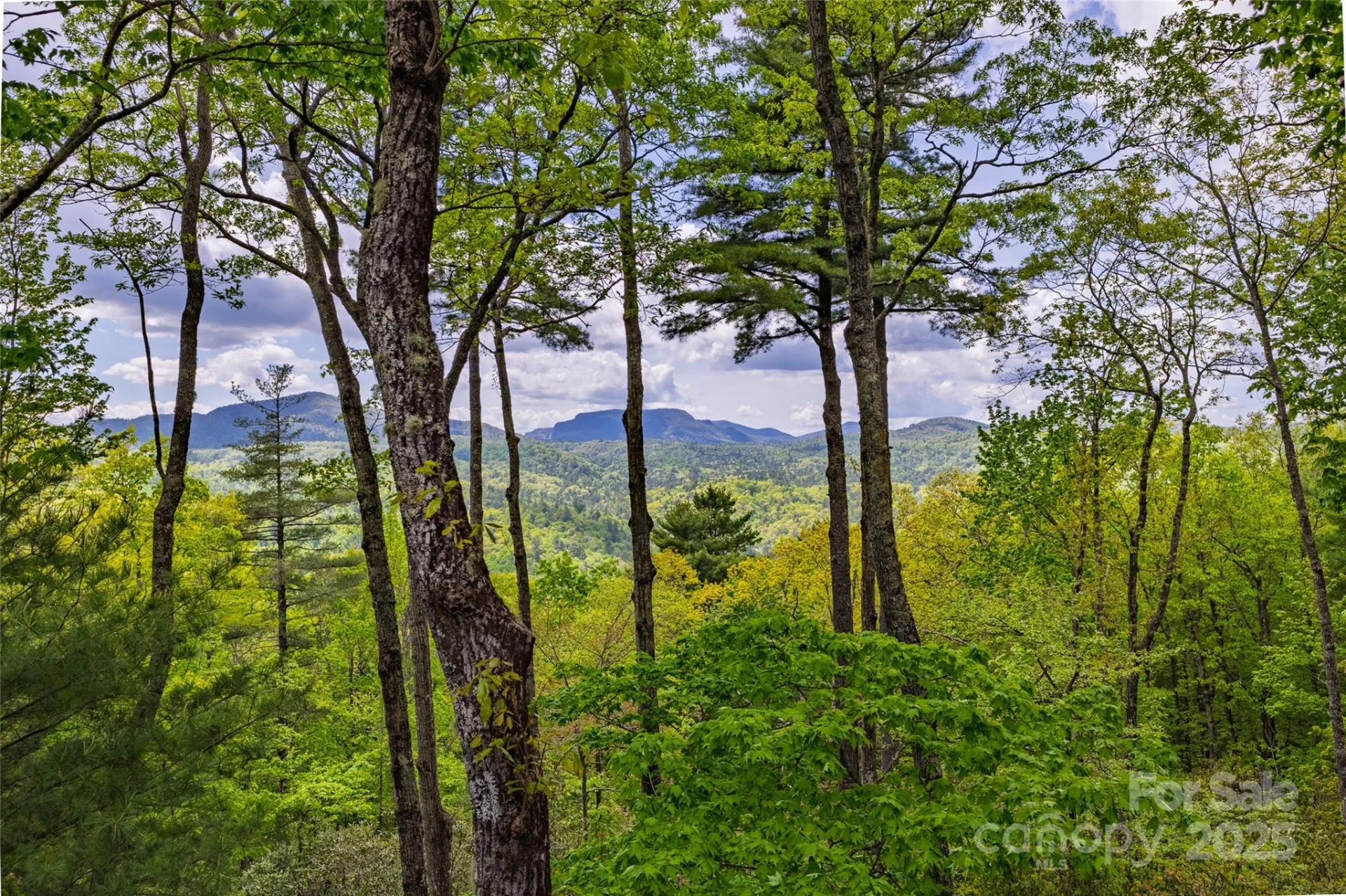 264 Jocassee Trail - Photo 4
