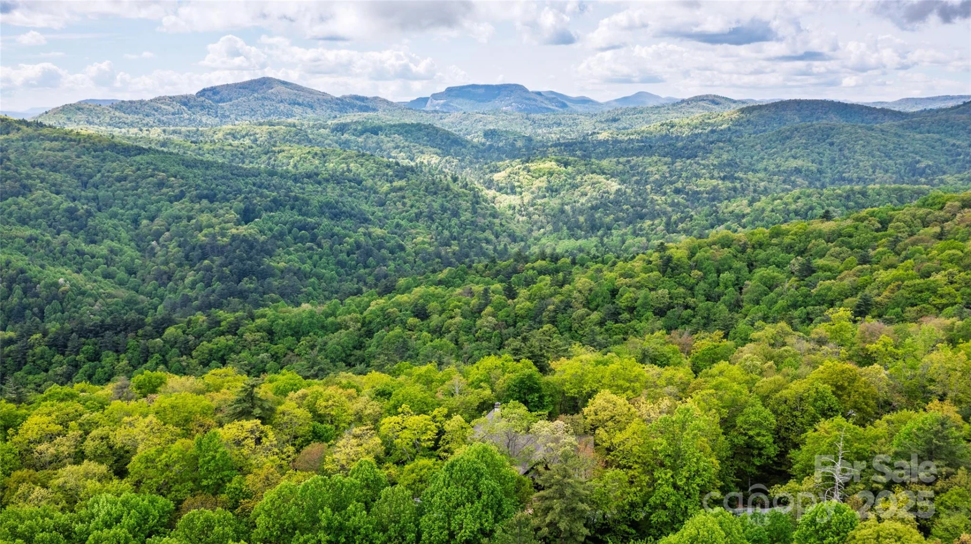 264 Jocassee Trail - Photo 5