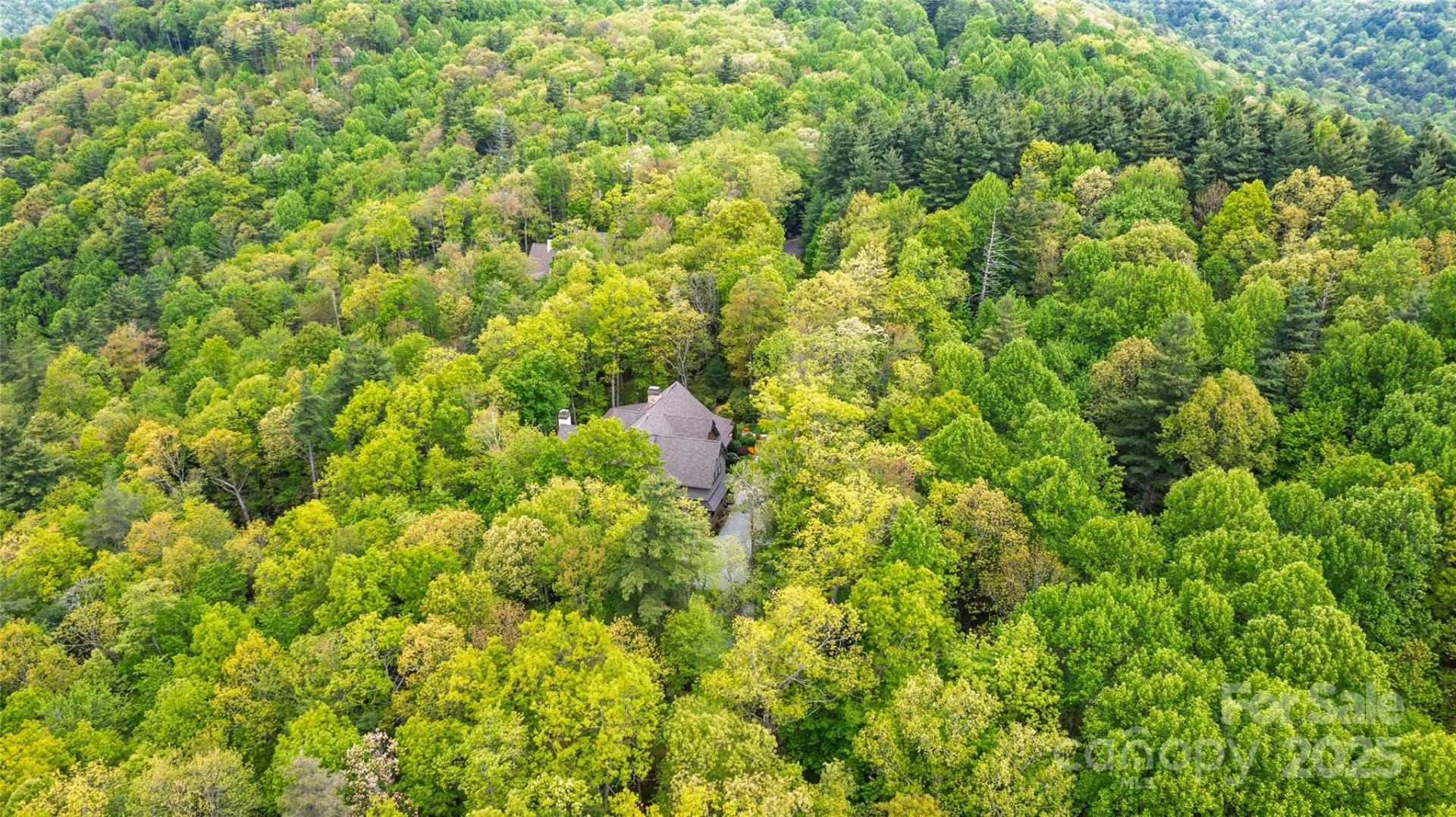 264 Jocassee Trail - Photo 6