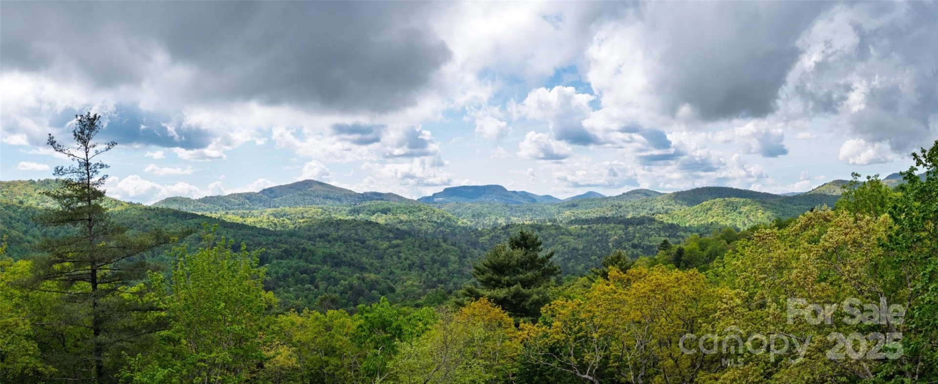 264 Jocassee Trail - Photo 8