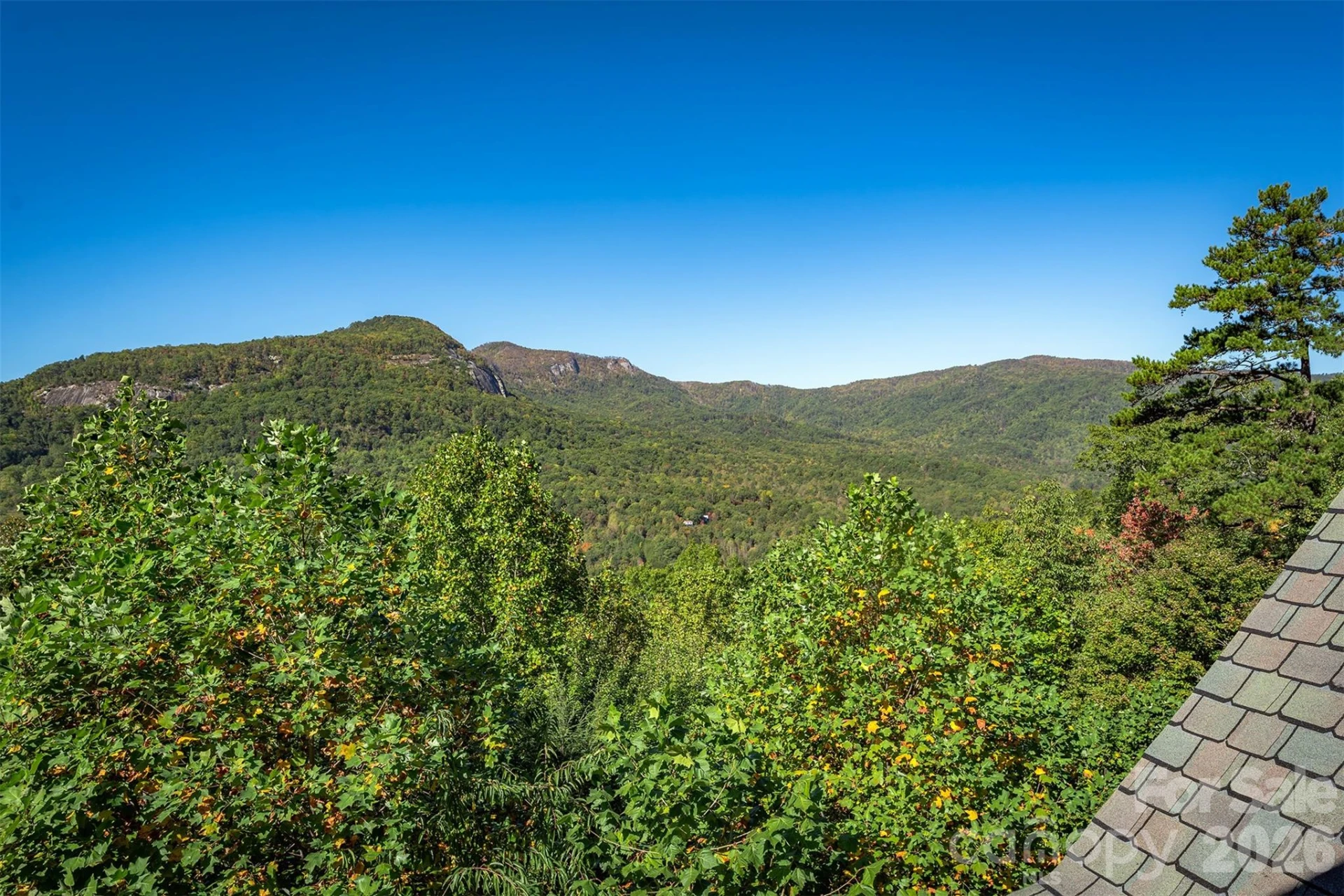 345 Hawks Nest Trail - Photo 35