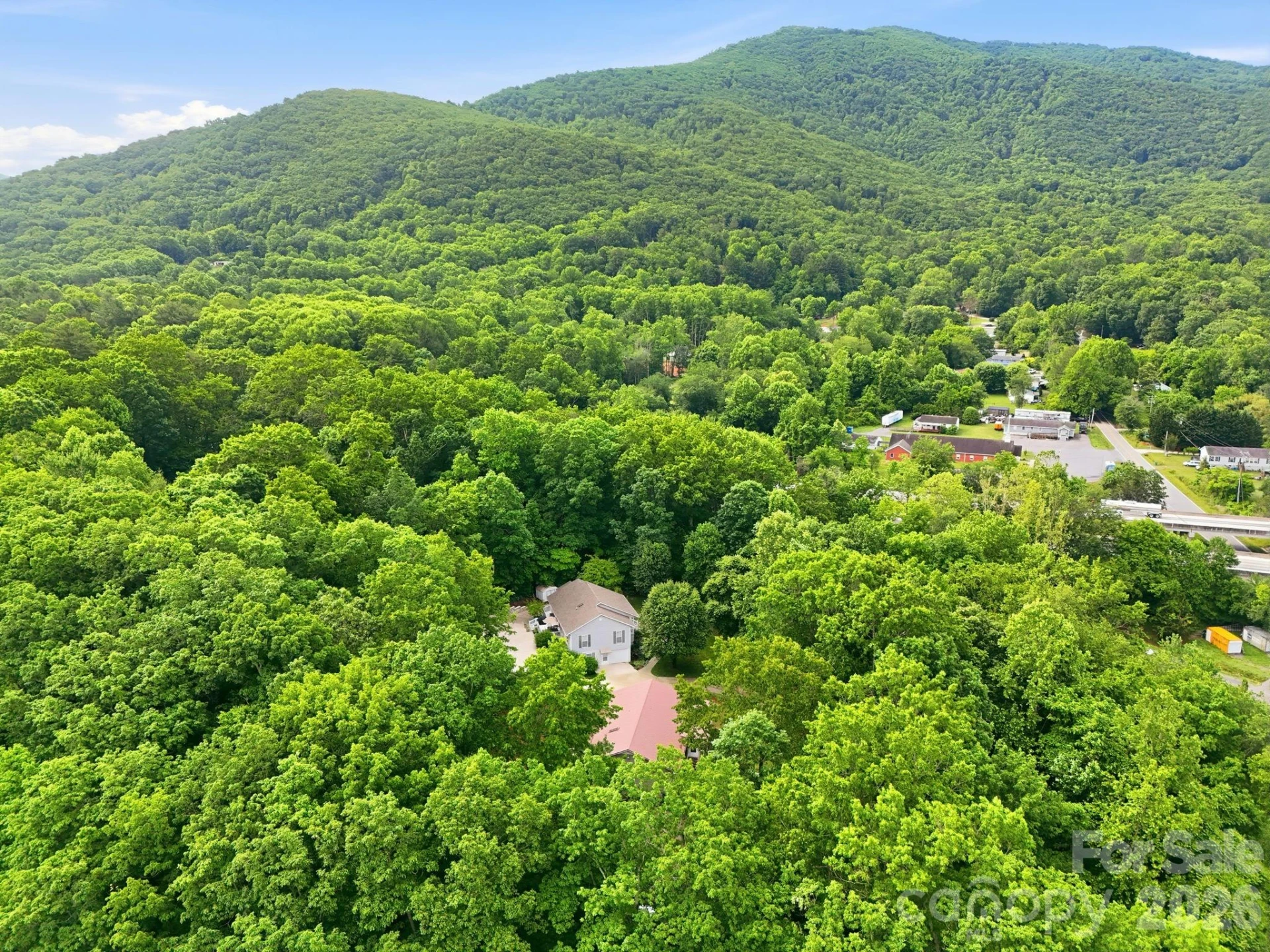 124 Lytle Cove Road - Photo 10