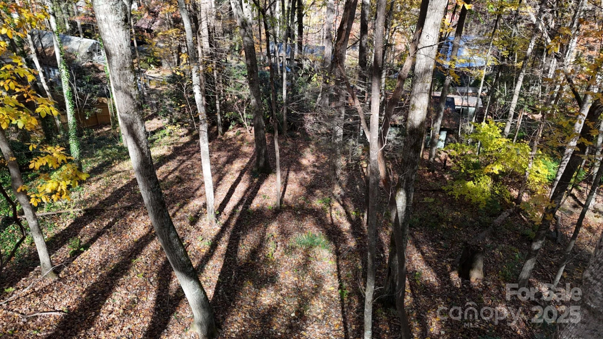 Lot C31 Shady Lane - Photo 4