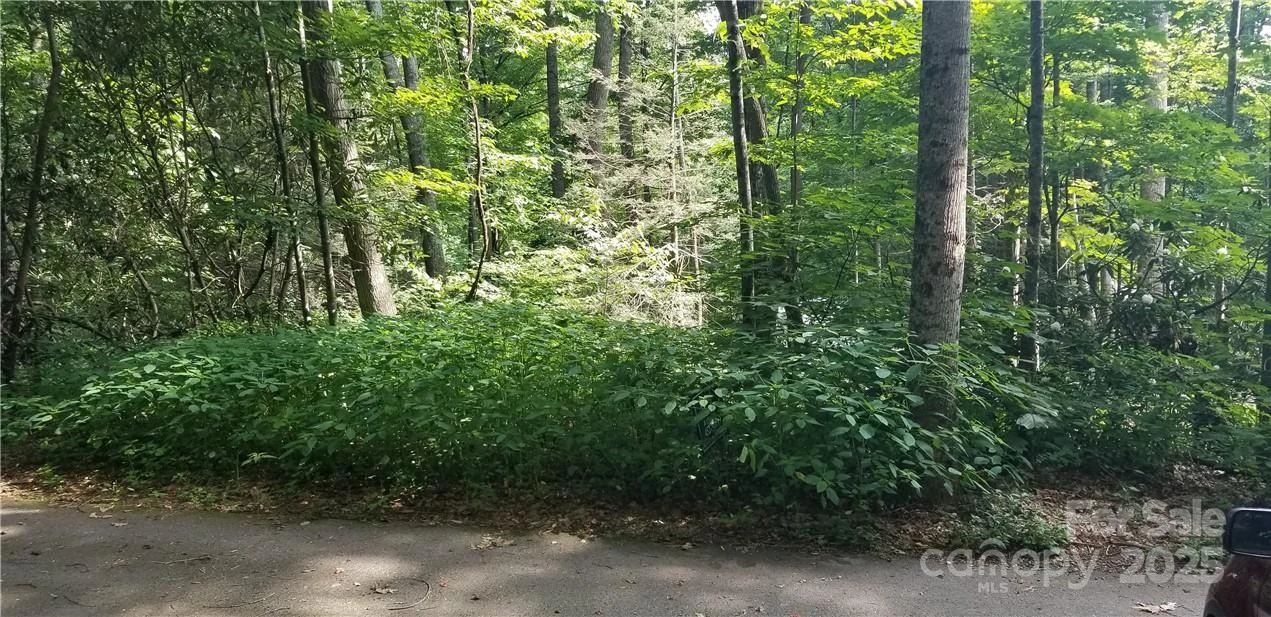 Lot C31 Shady Lane - Photo 8