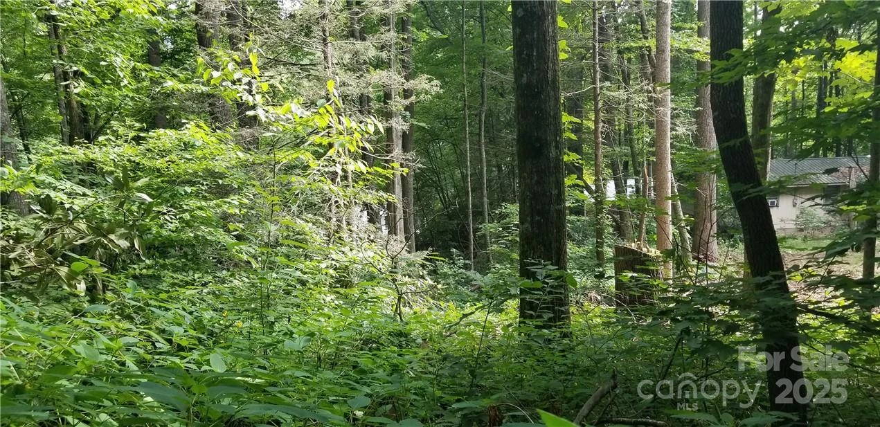 Lot C31 Shady Lane - Photo 9