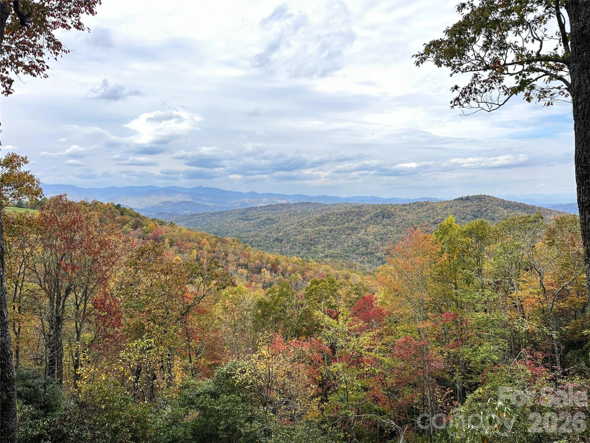 243 Ridgeline Drive - Photo 4