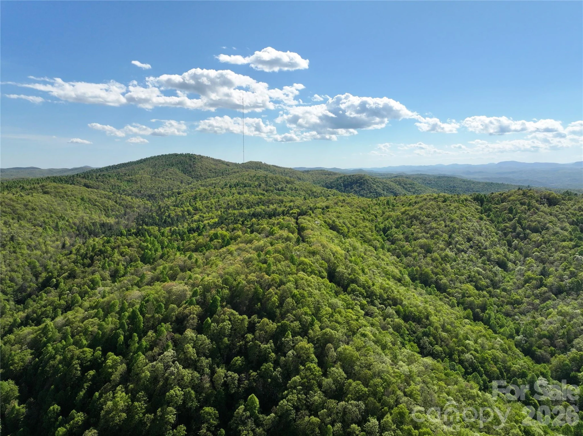 243 Ridgeline Drive - Photo 48
