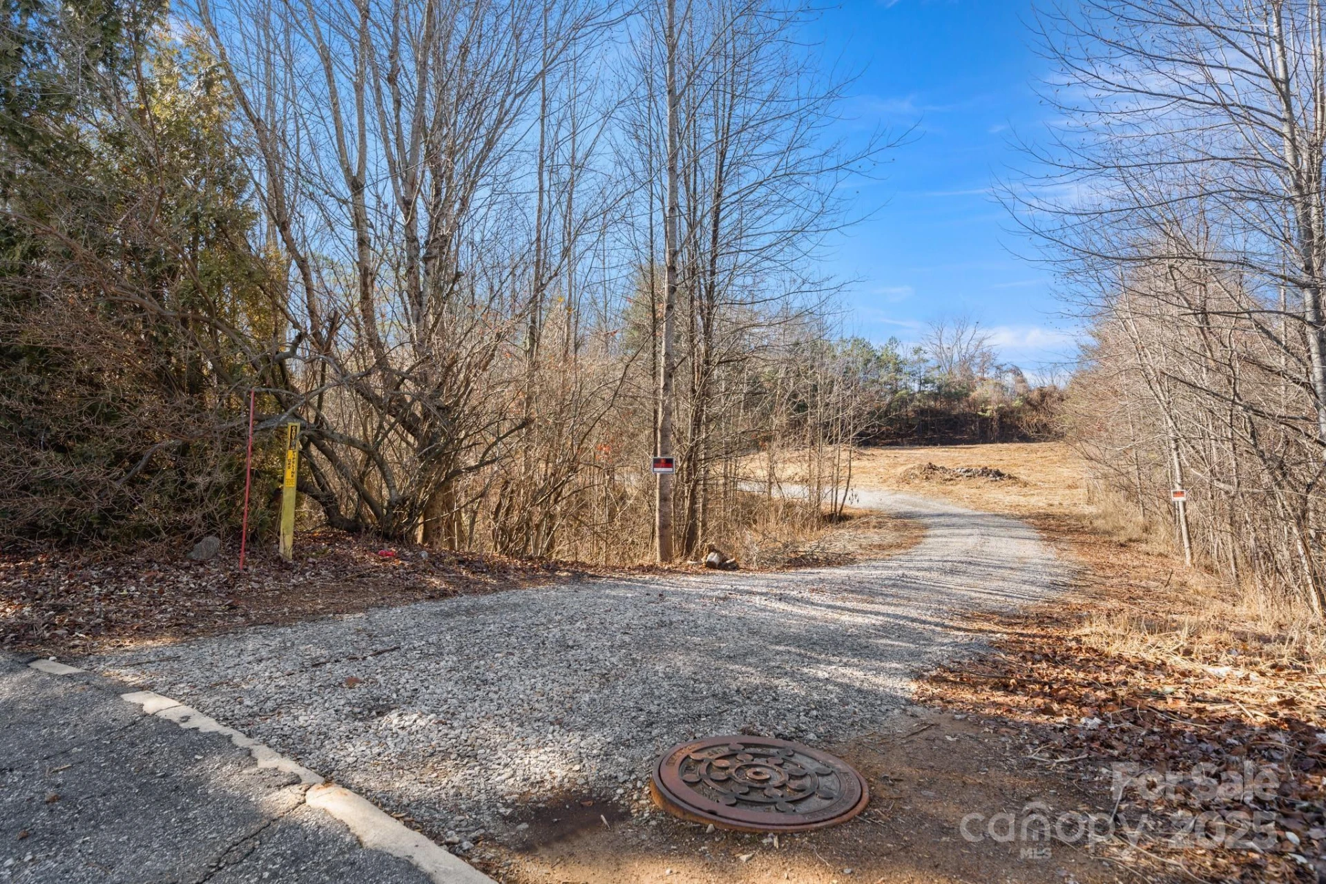 238 Mitchelle Drive - Photo 6