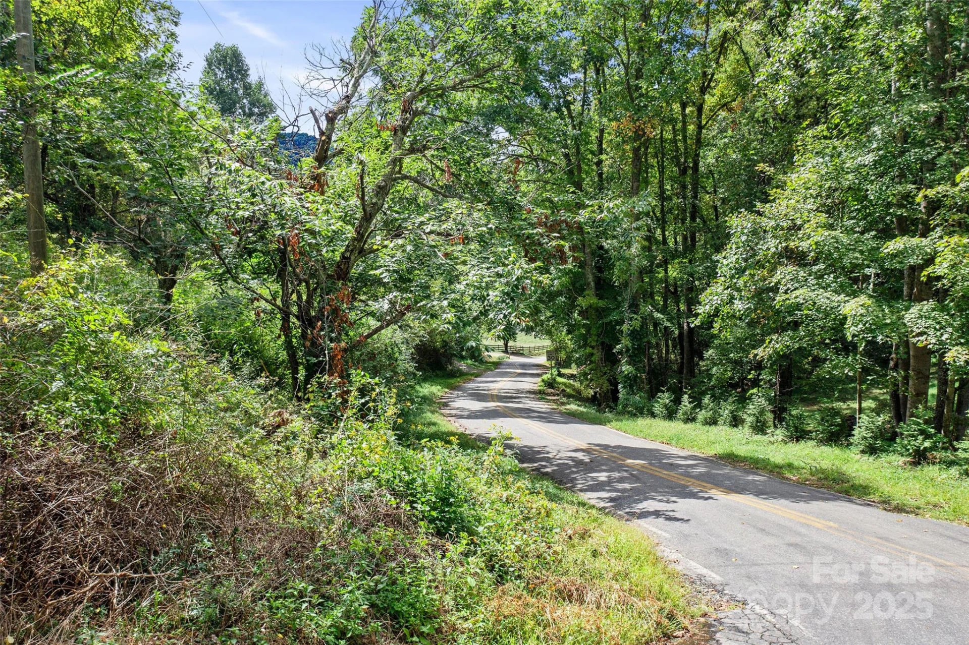 99999 Moody Cove Road - Photo 11