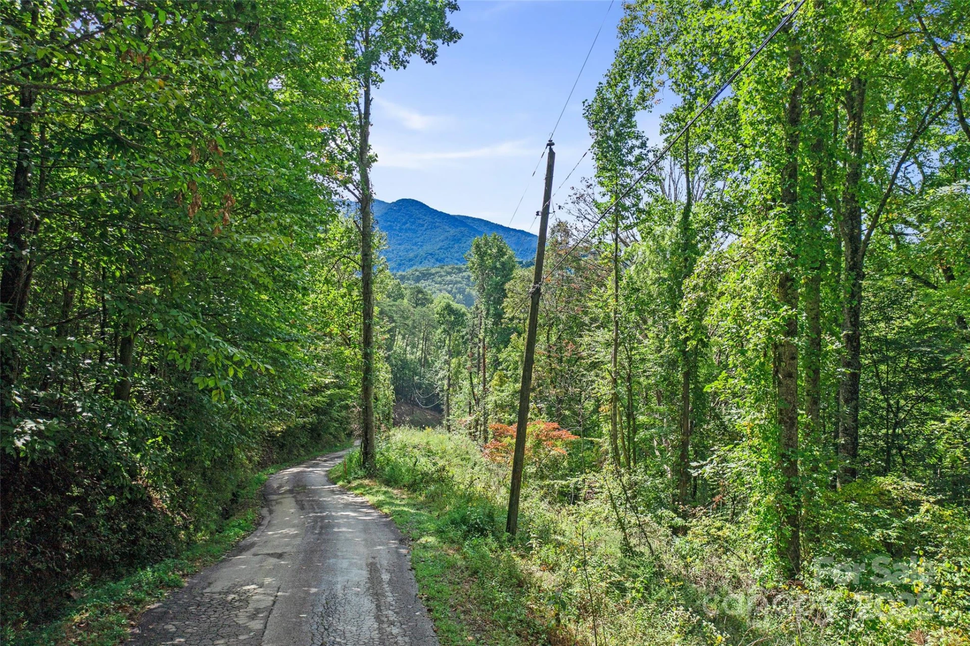 99999 Moody Cove Road - Photo 18