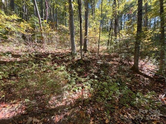 99999 Moody Cove Road - Photo 3