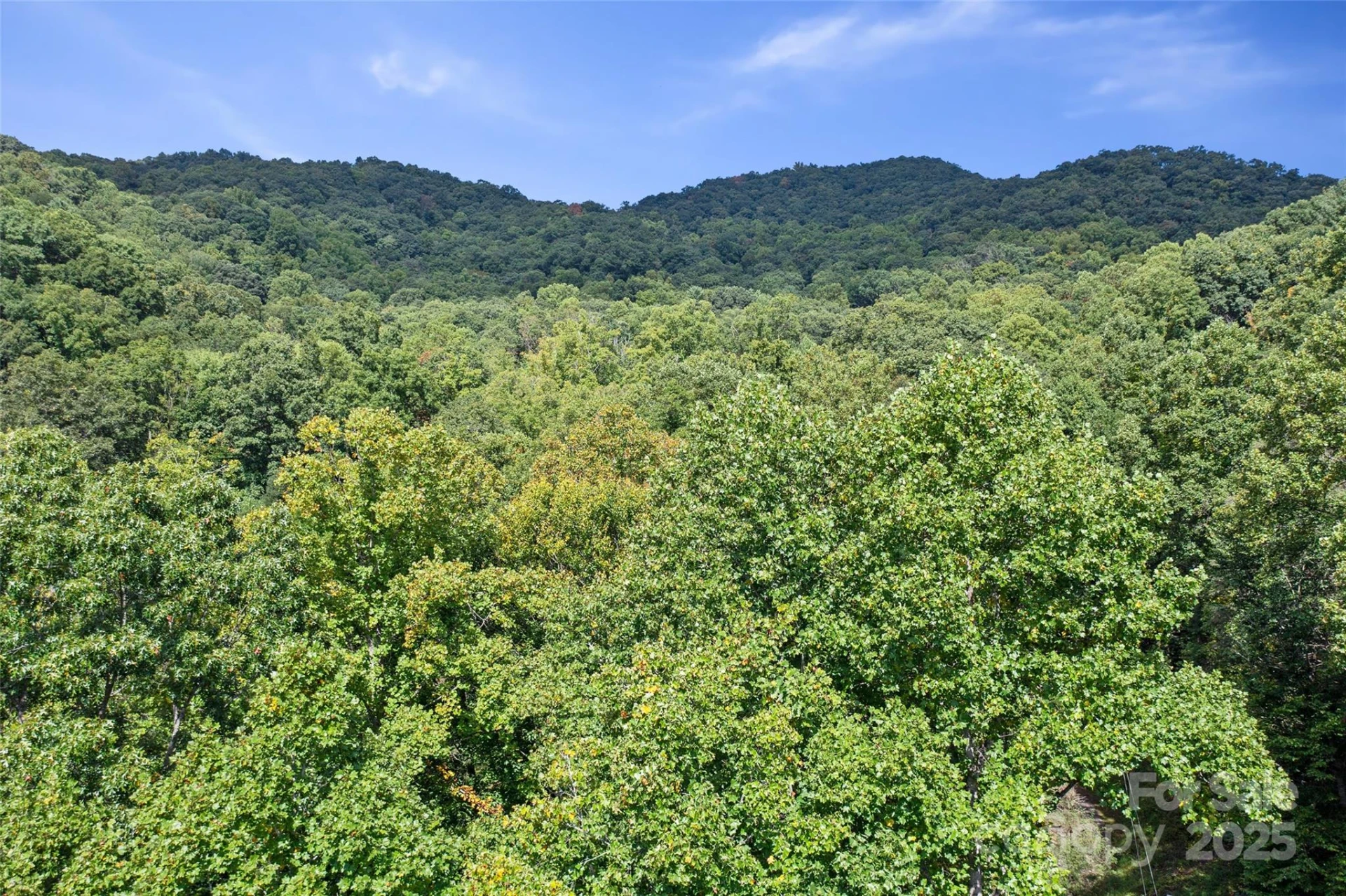 99999 Moody Cove Road - Photo 21