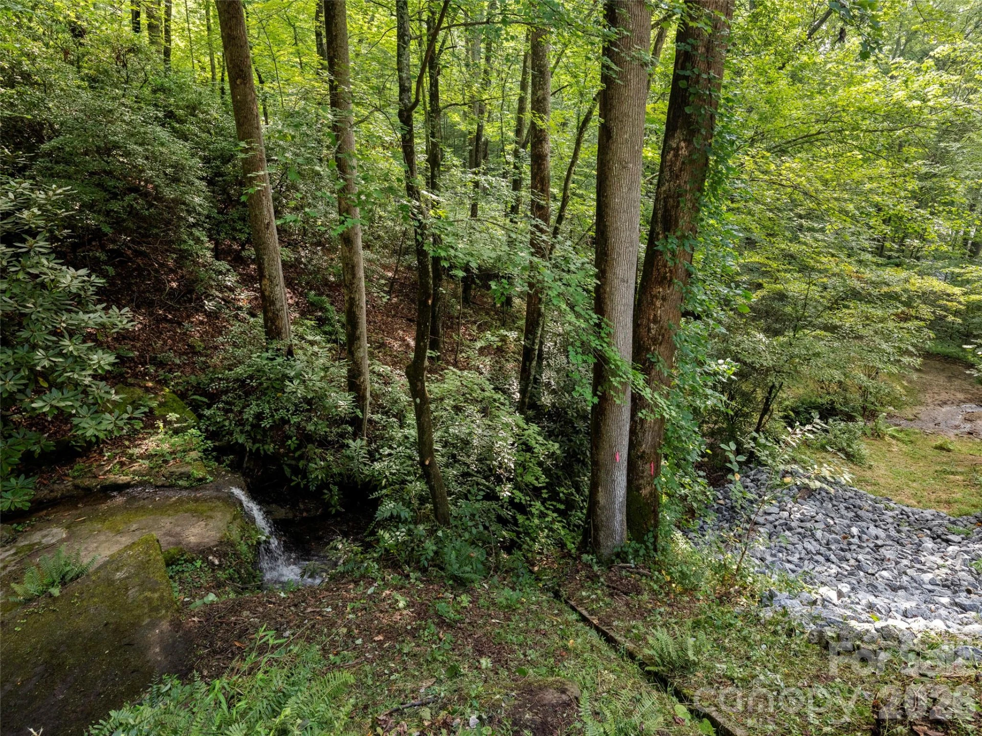 812 Crab Creek Road - Photo 49