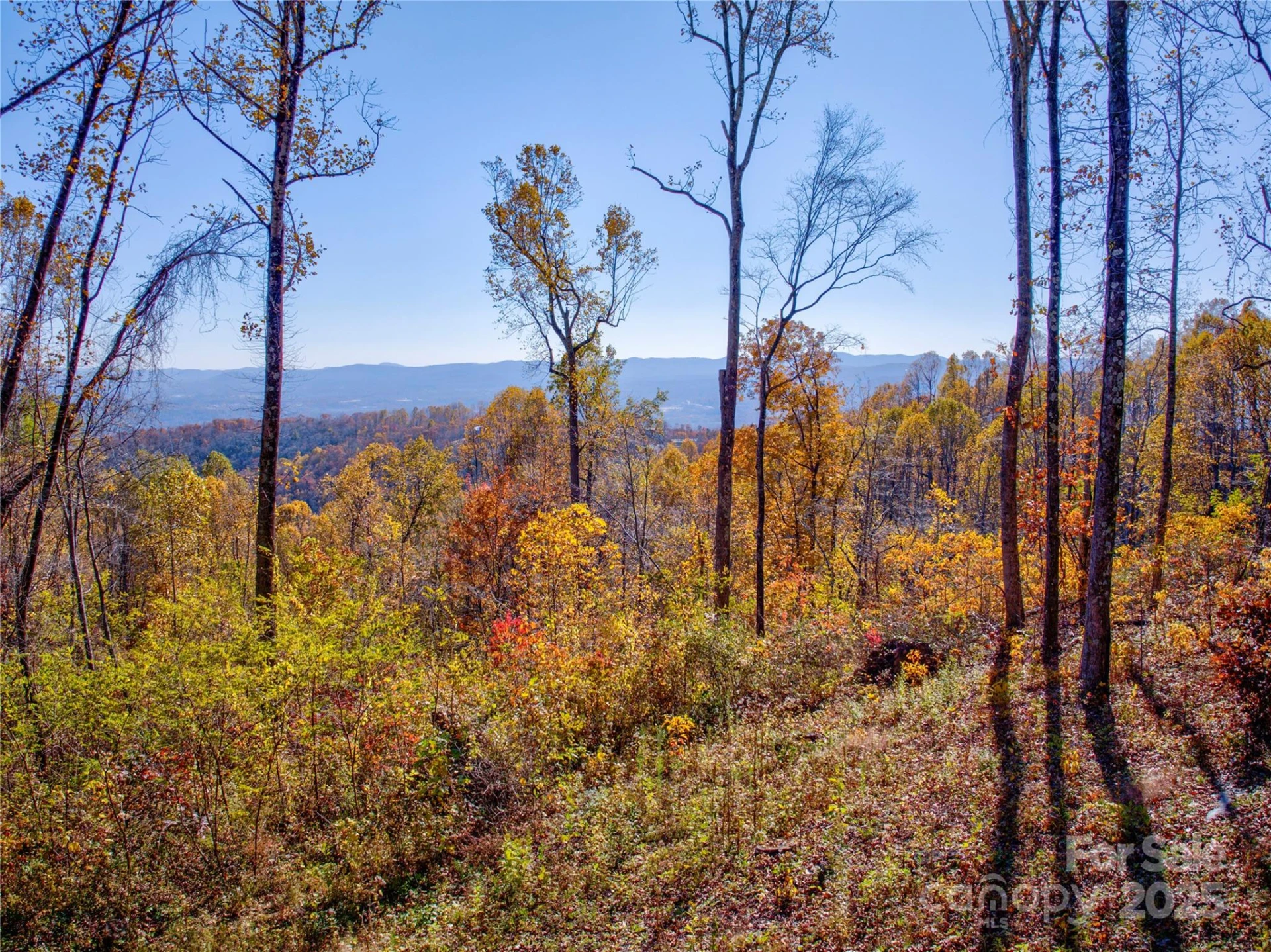 7 Laurel Ledge Way #13 - Photo 2