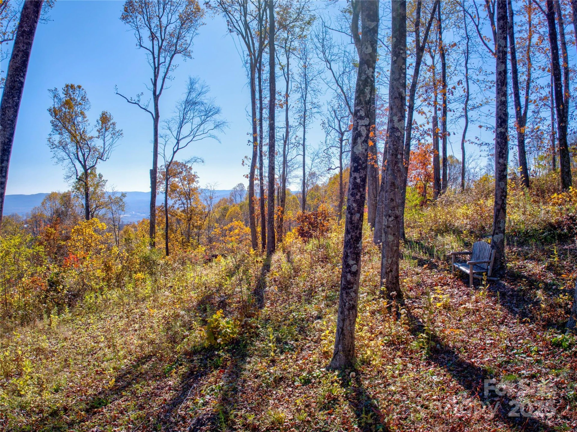 7 Laurel Ledge Way #13 - Photo 12